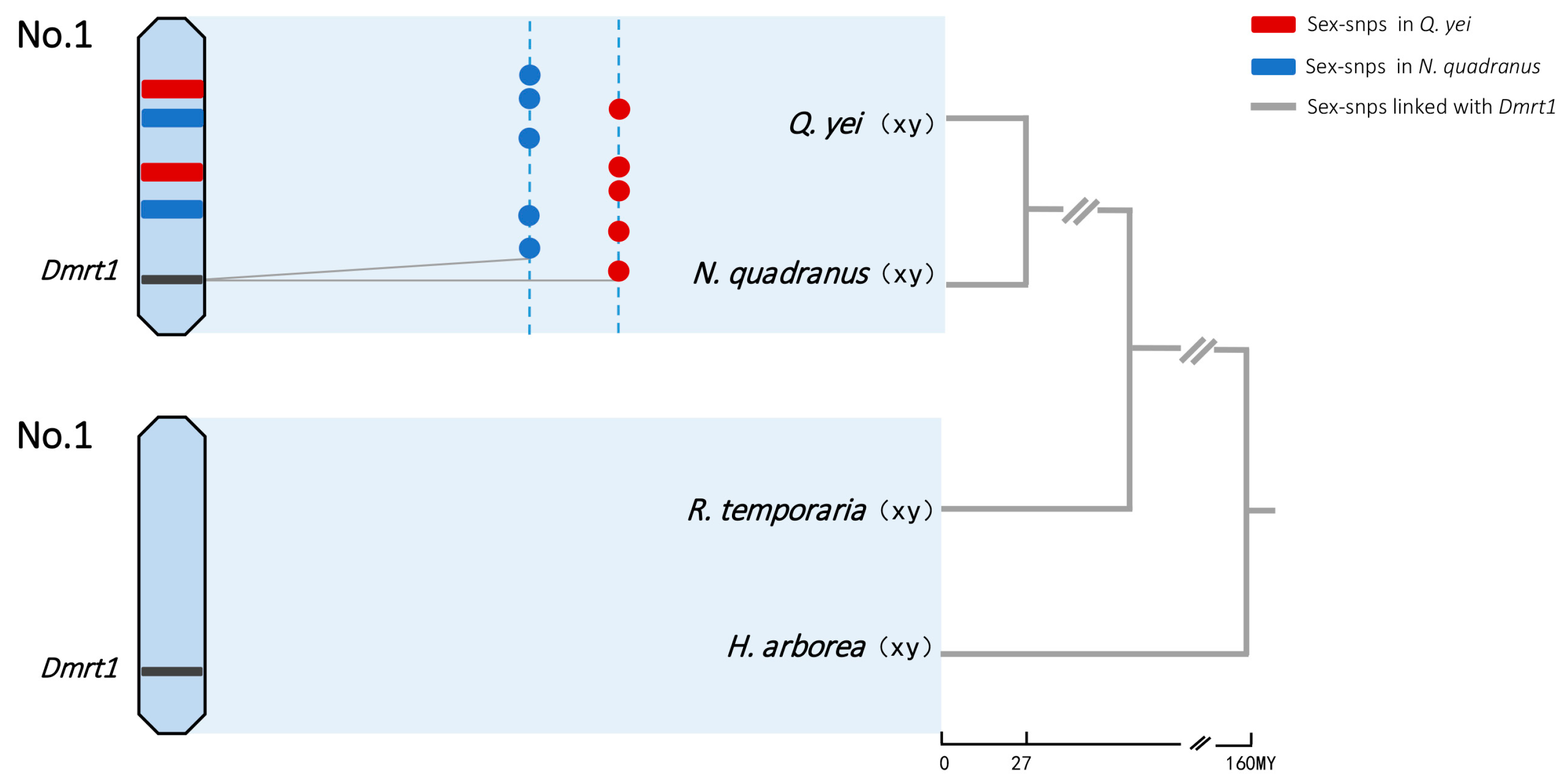 Animals 14 01849 g003 Animals 14 01849 g003