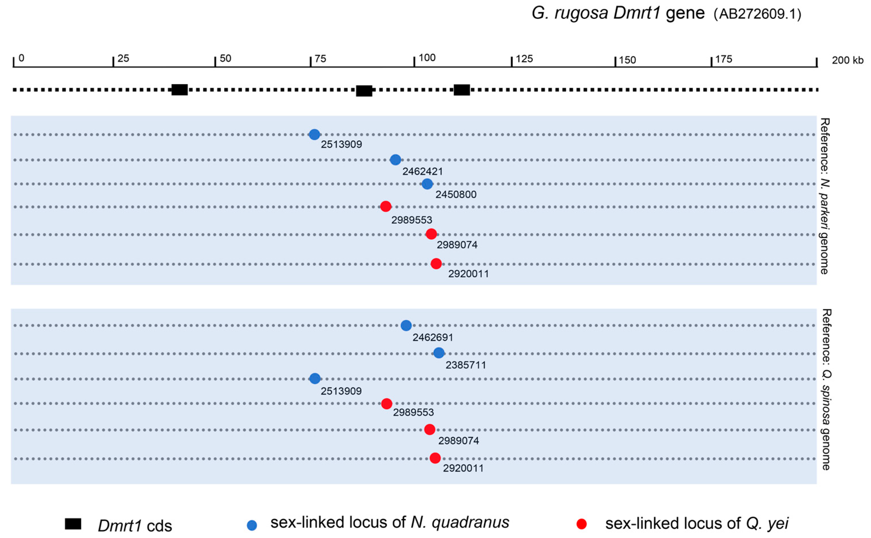 Animals 14 01849 g004 Animals 14 01849 g004