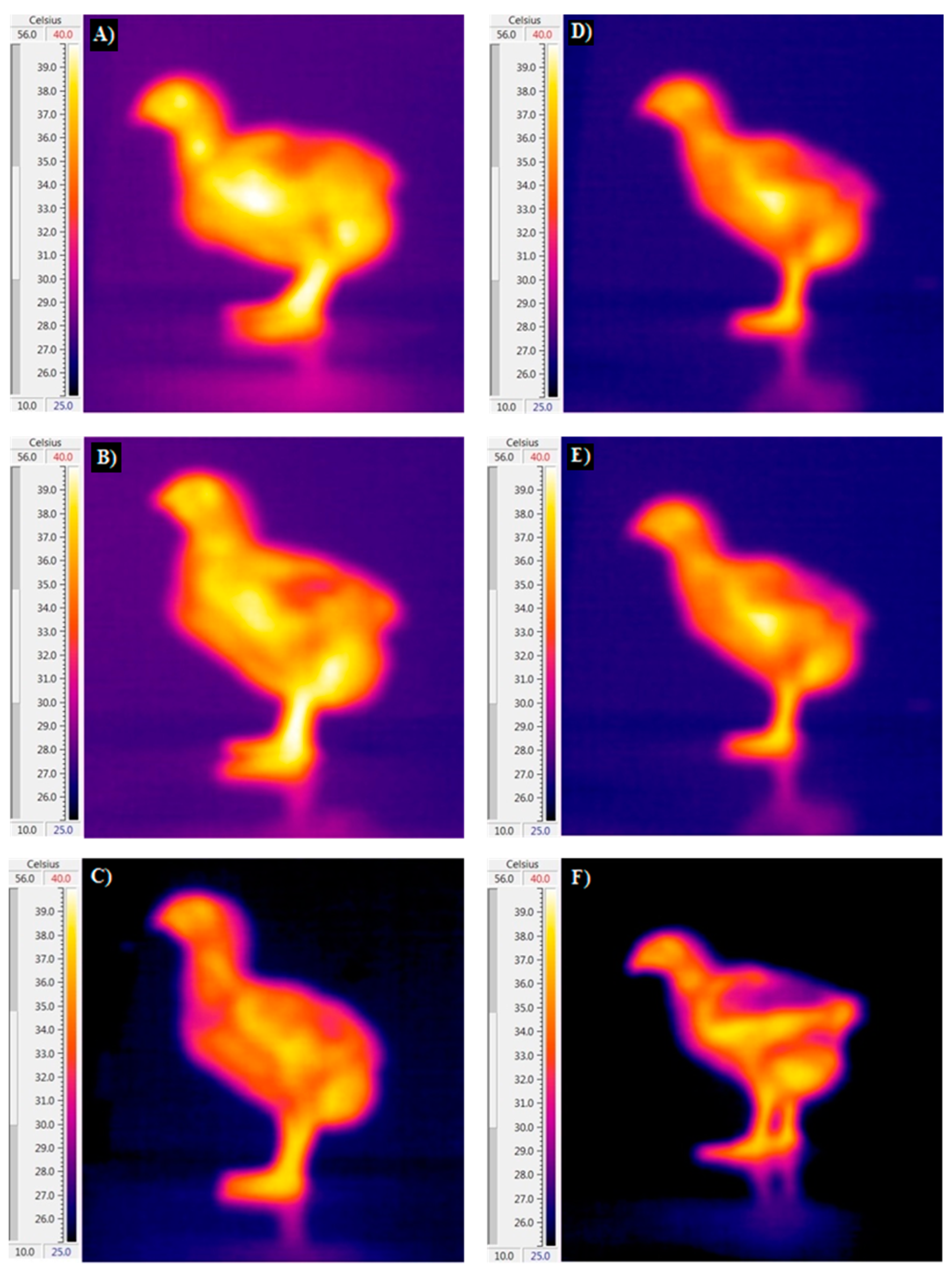 Animals 14 01853 g002