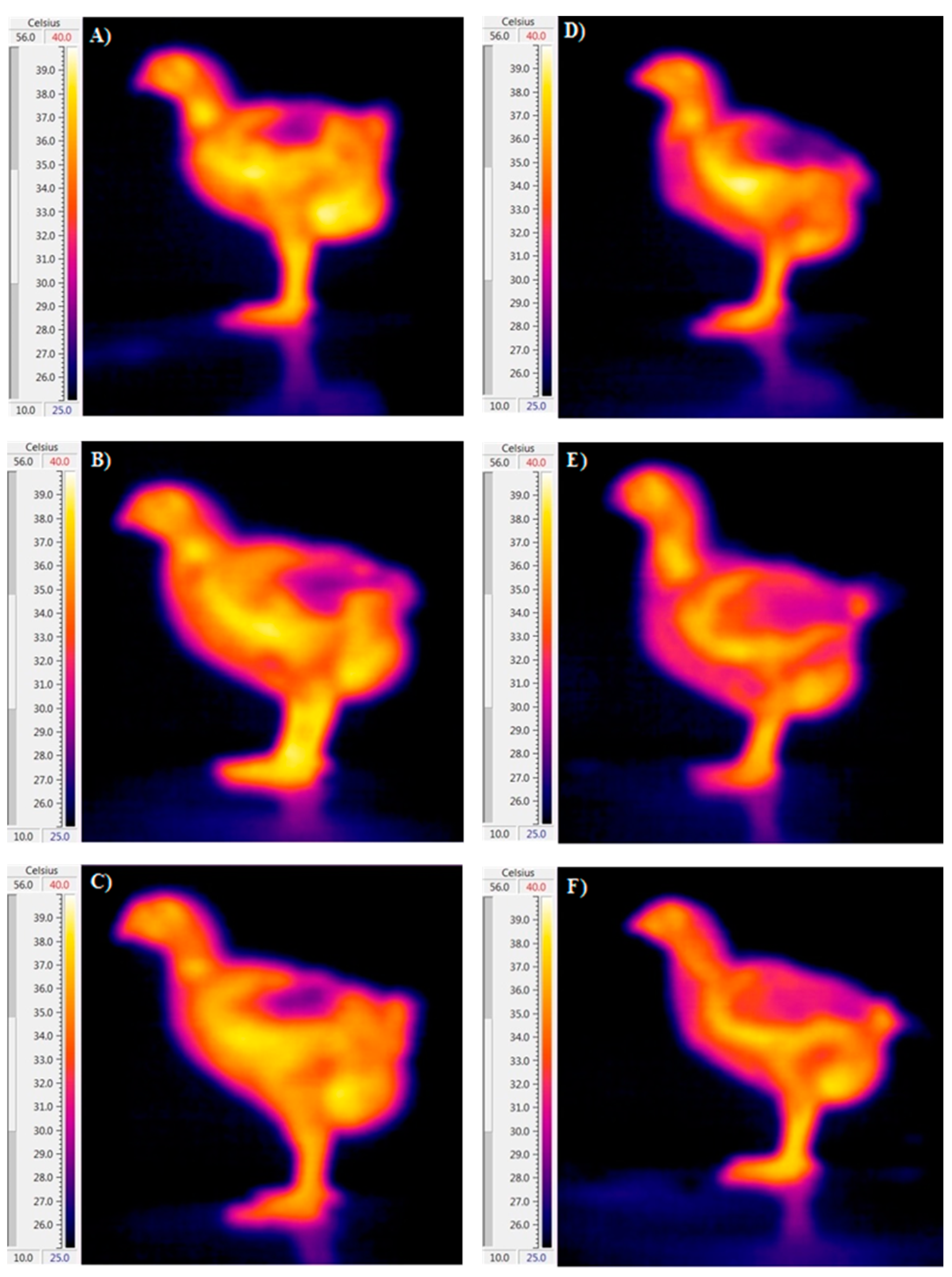 Animals 14 01853 g003