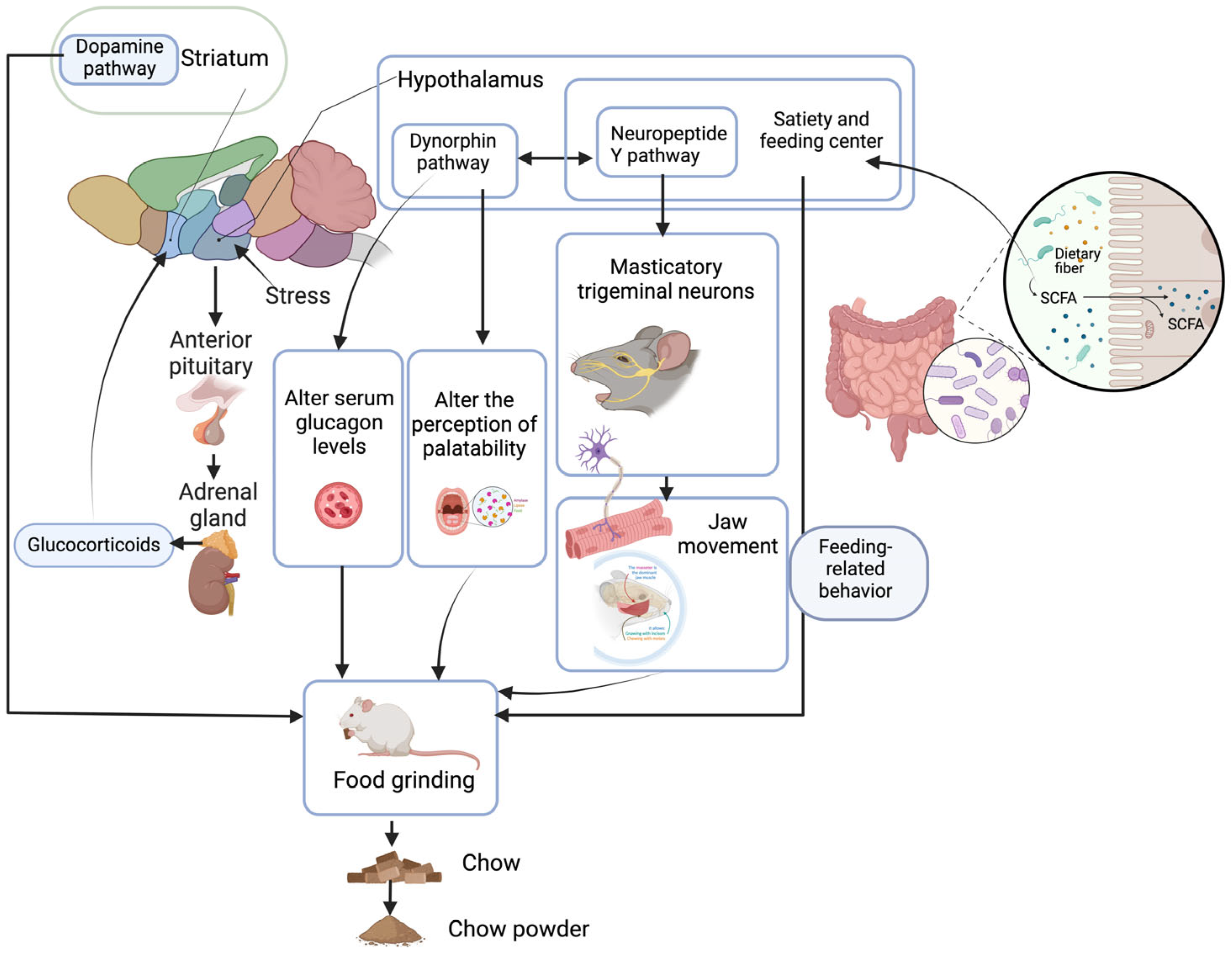 Animals 14 01865 g003