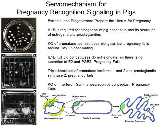 Animals 14 01882 g002