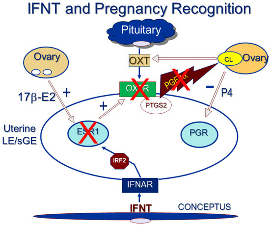 Animals 14 01882 g003