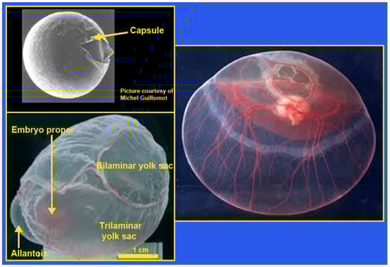 Animals 14 01882 g004