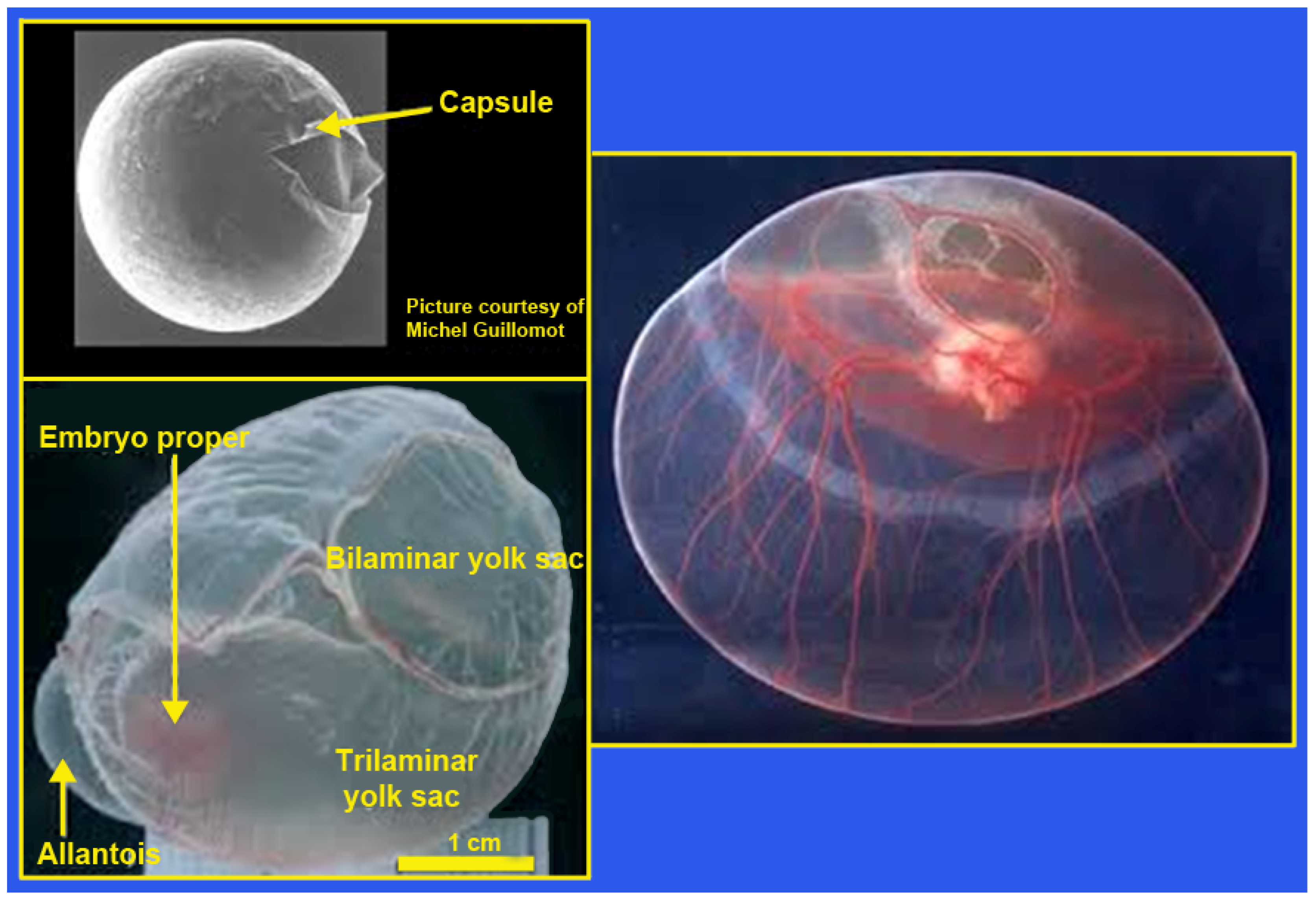 Animals 14 01882 g004