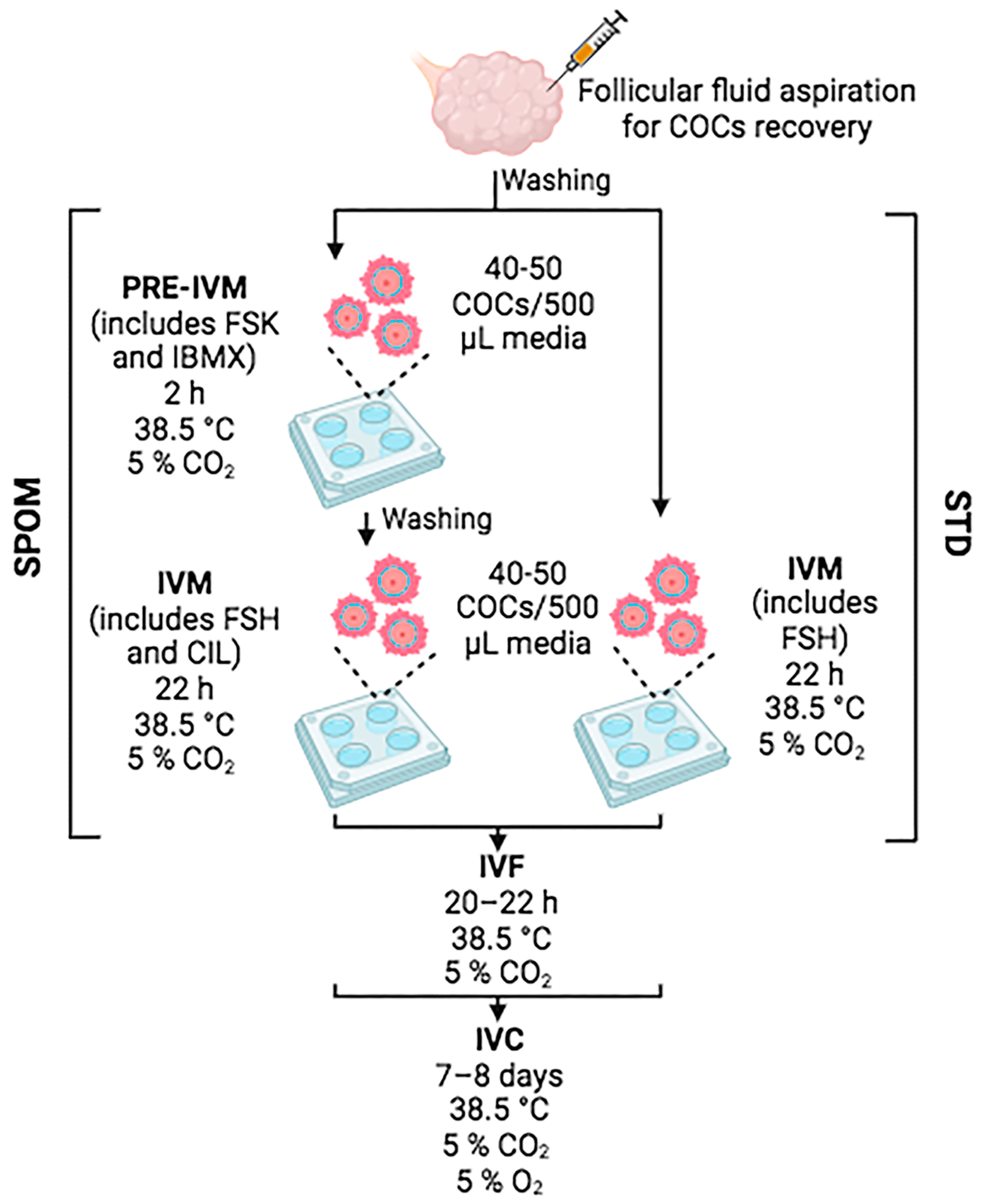 Animals 14 01893 g001