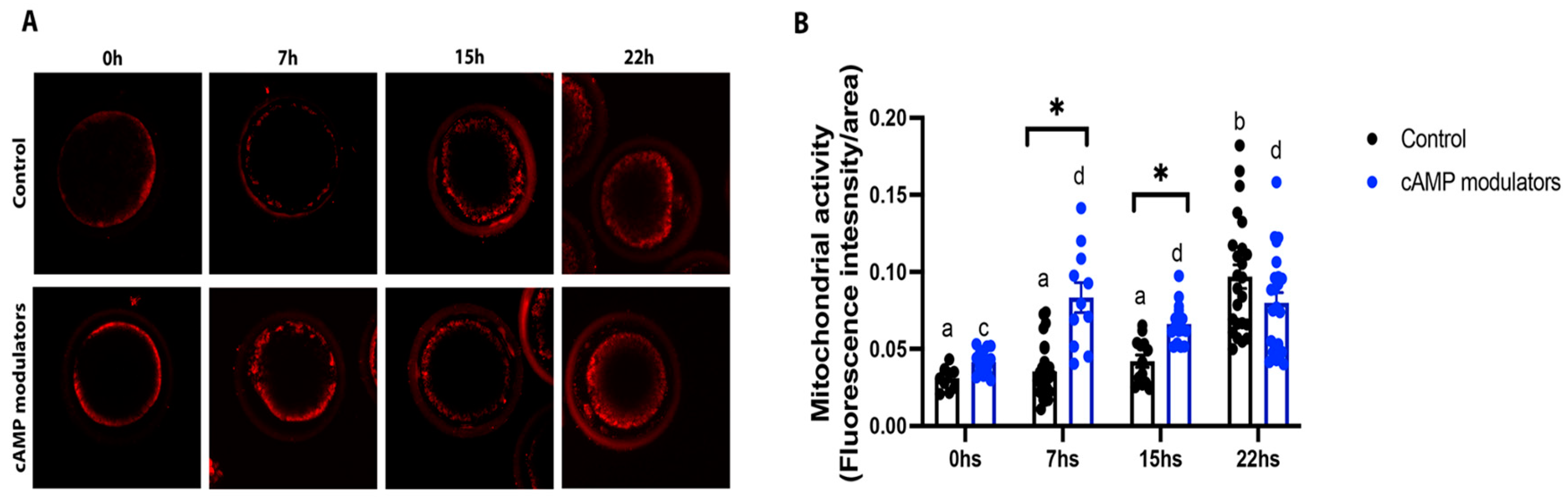 Animals 14 01893 g005