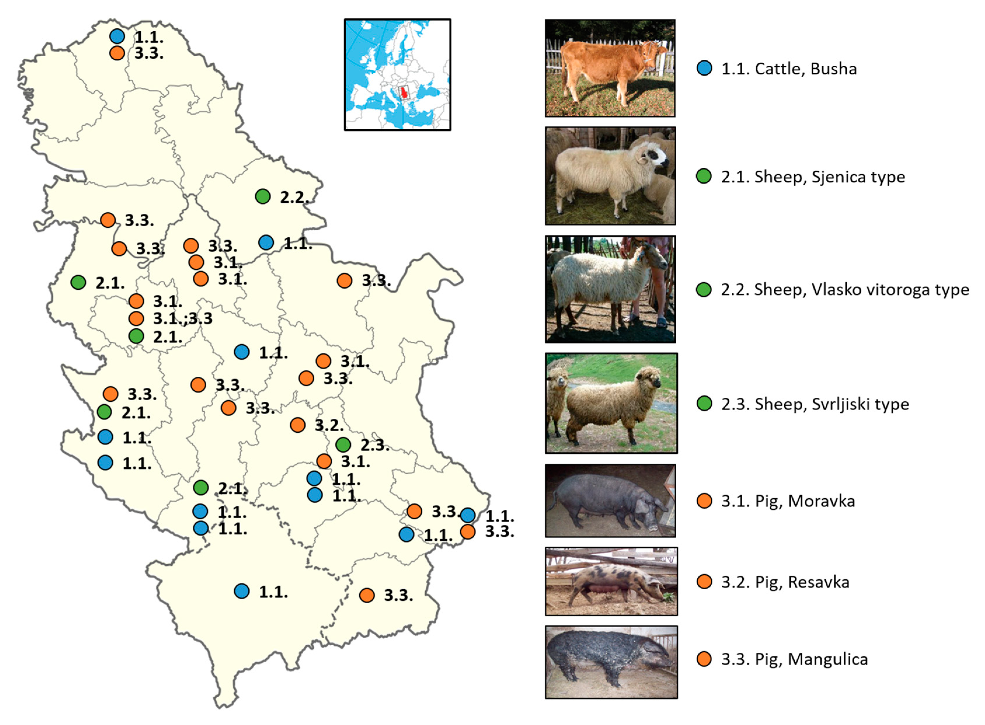 Animals 14 01894 g001 Animals 14 01894 g001