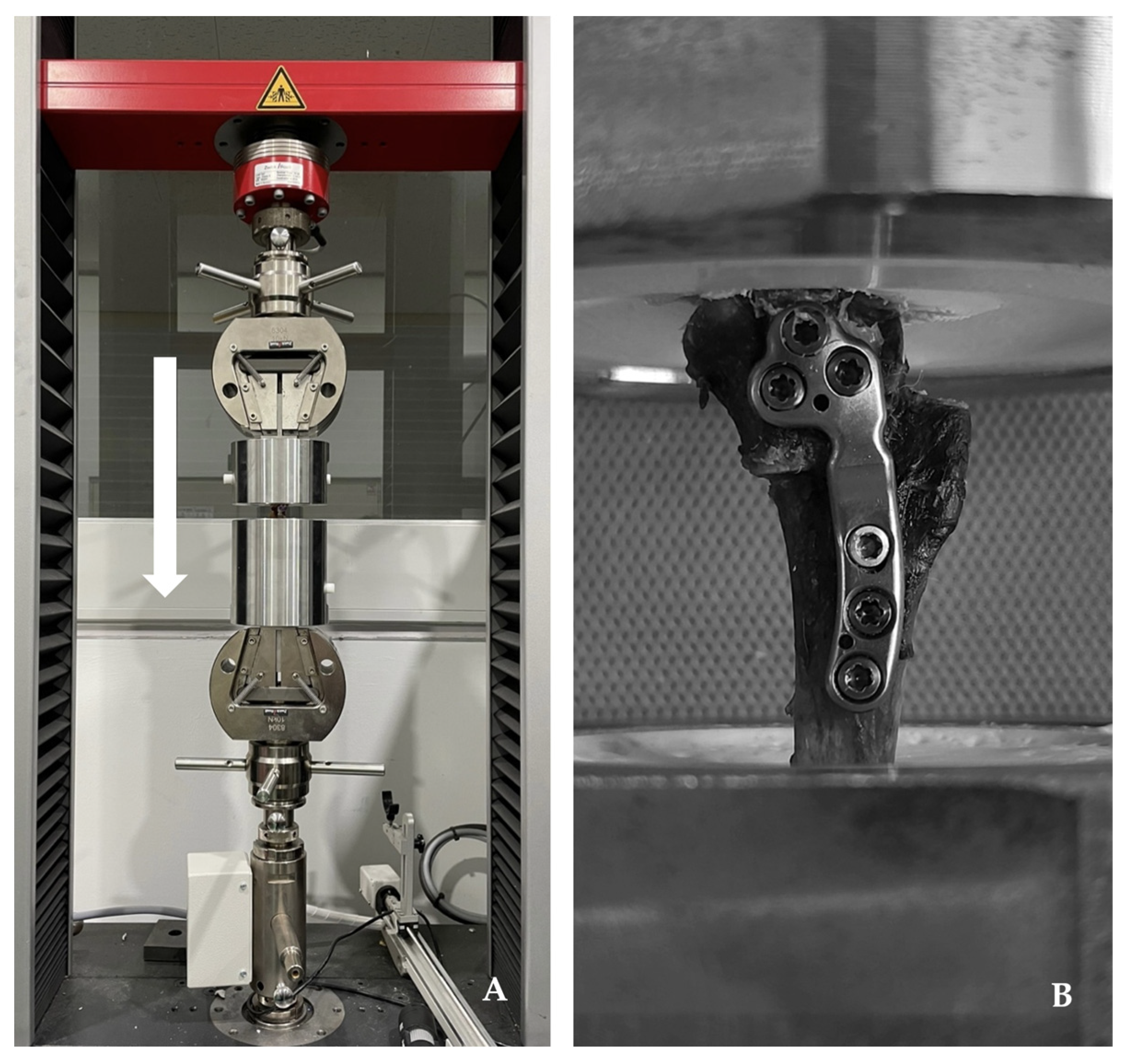 Animals 14 01937 g004