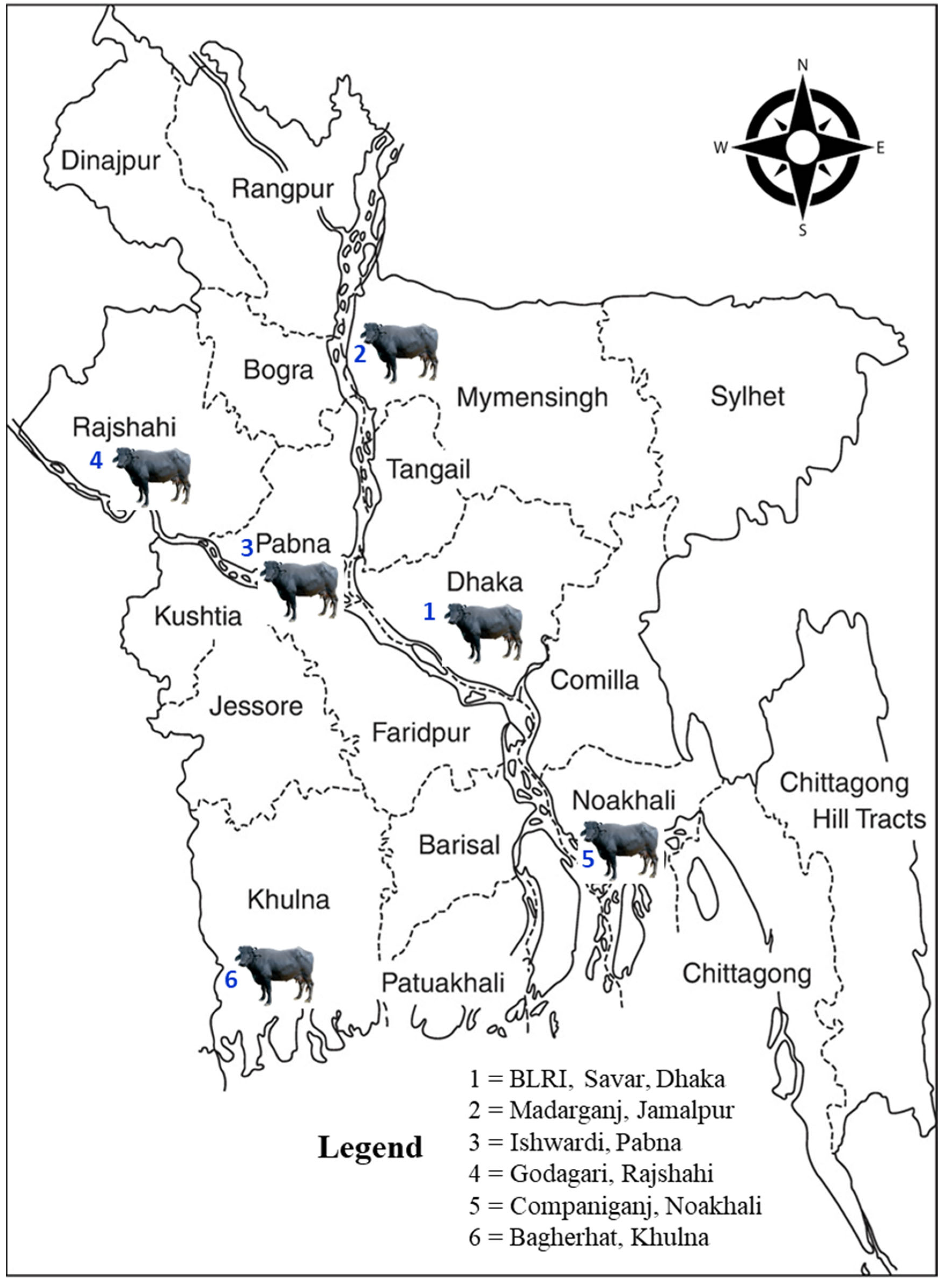 Animals 14 01945 g001