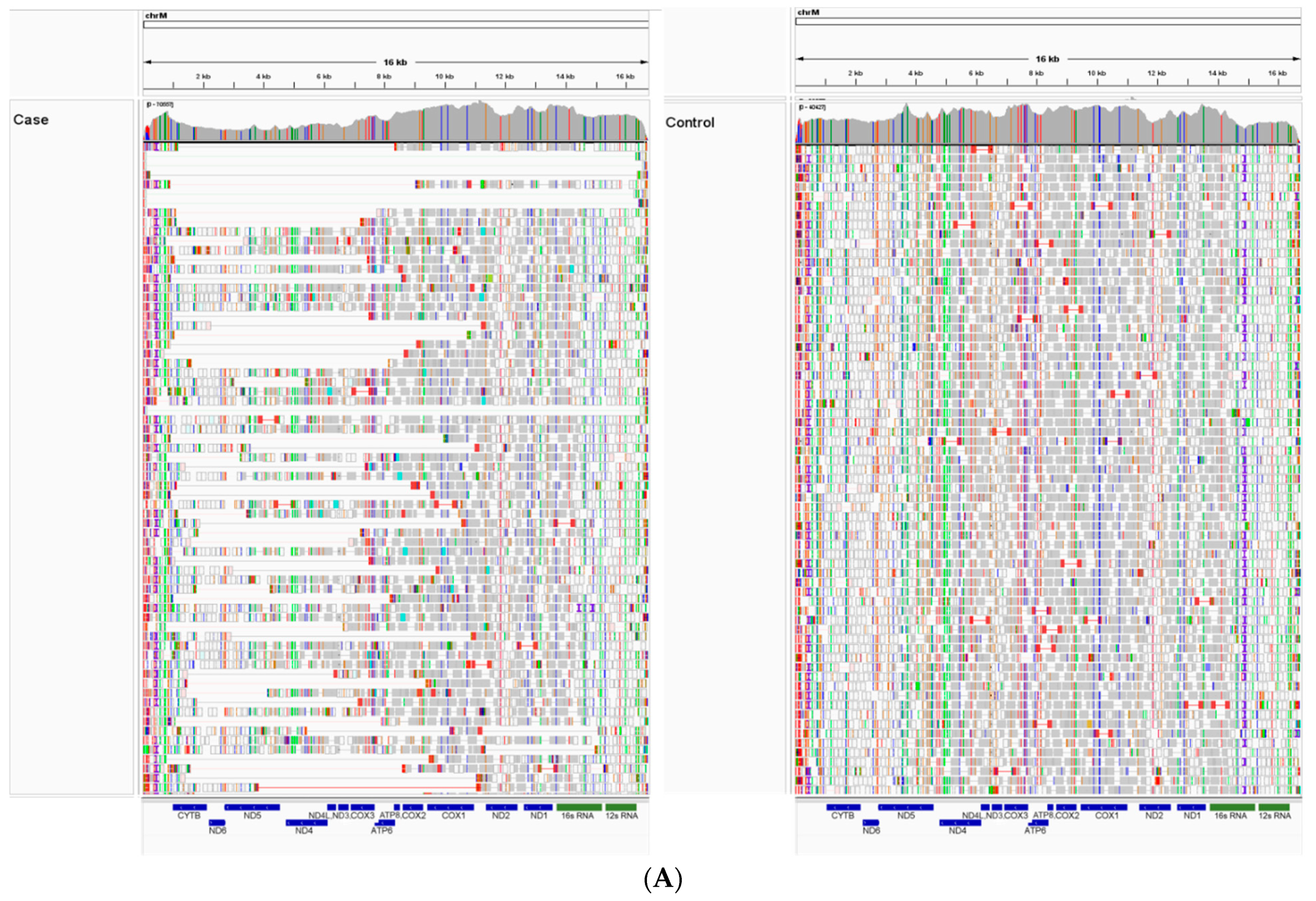 Animals 14 01946 g003a