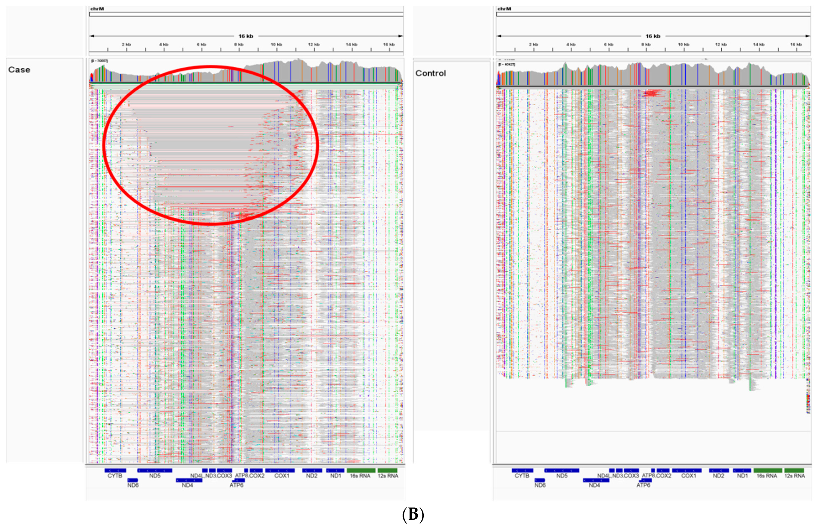 Animals 14 01946 g003b