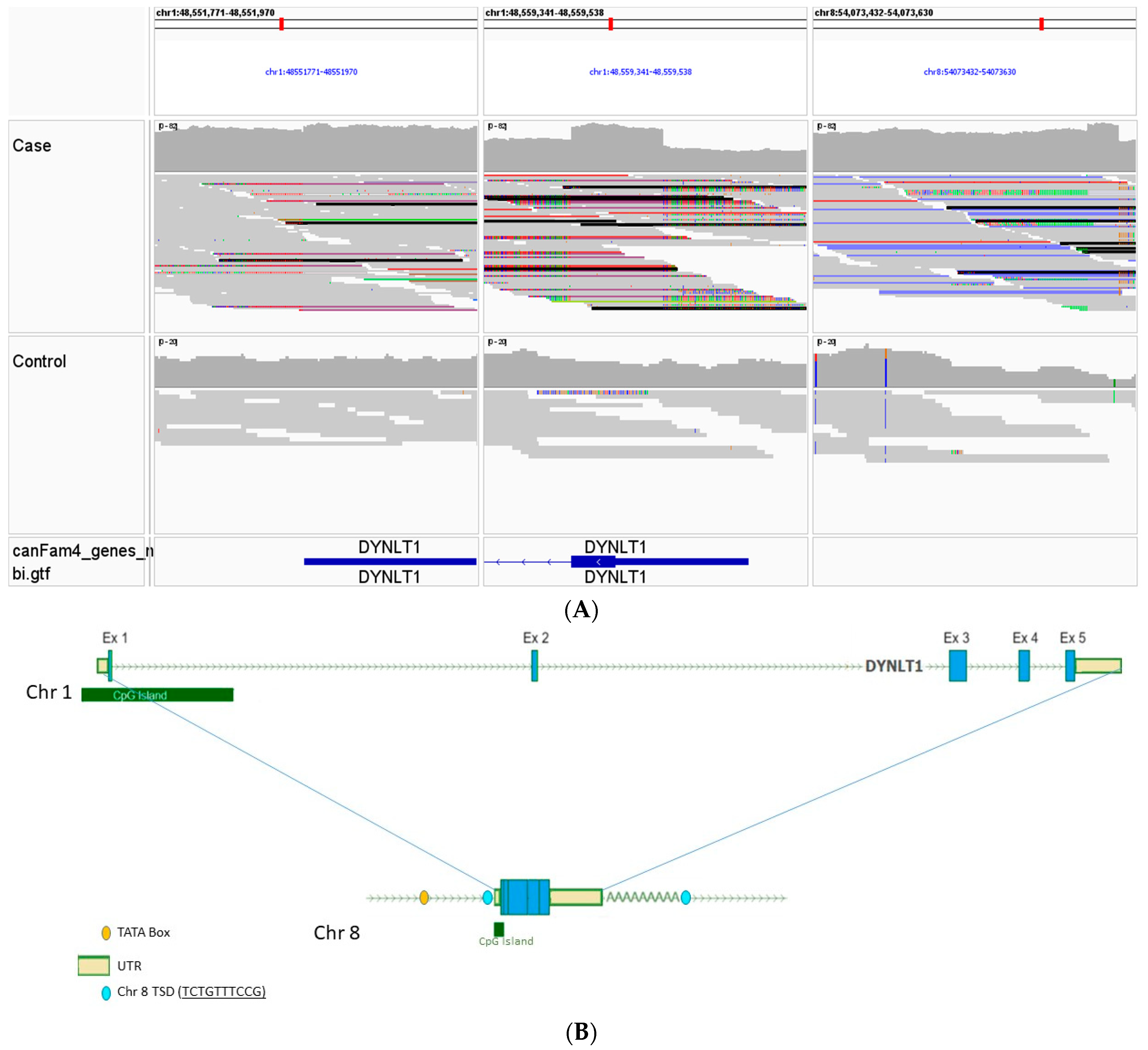 Animals 14 01946 g004a