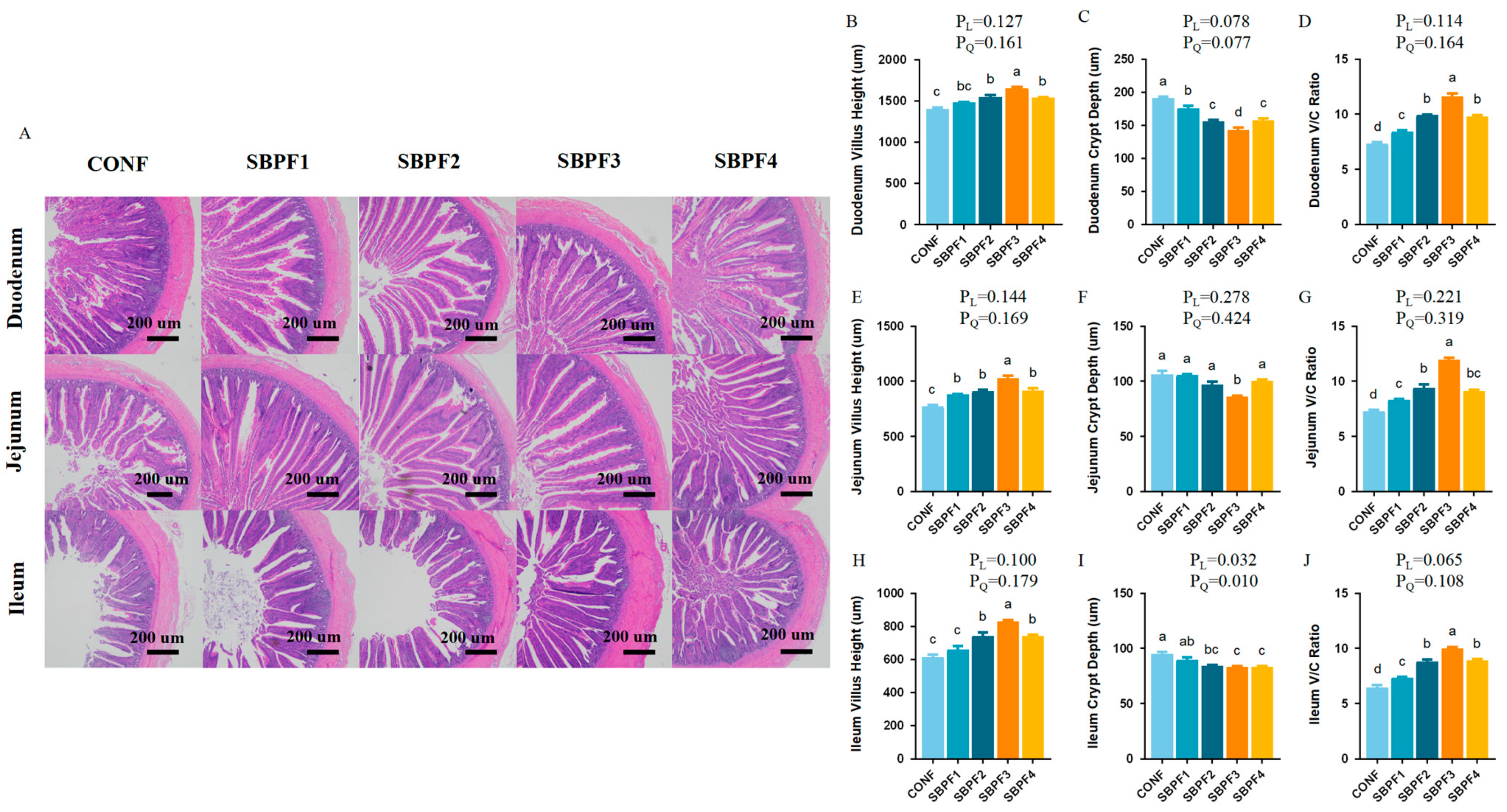 Animals 14 01954 g002