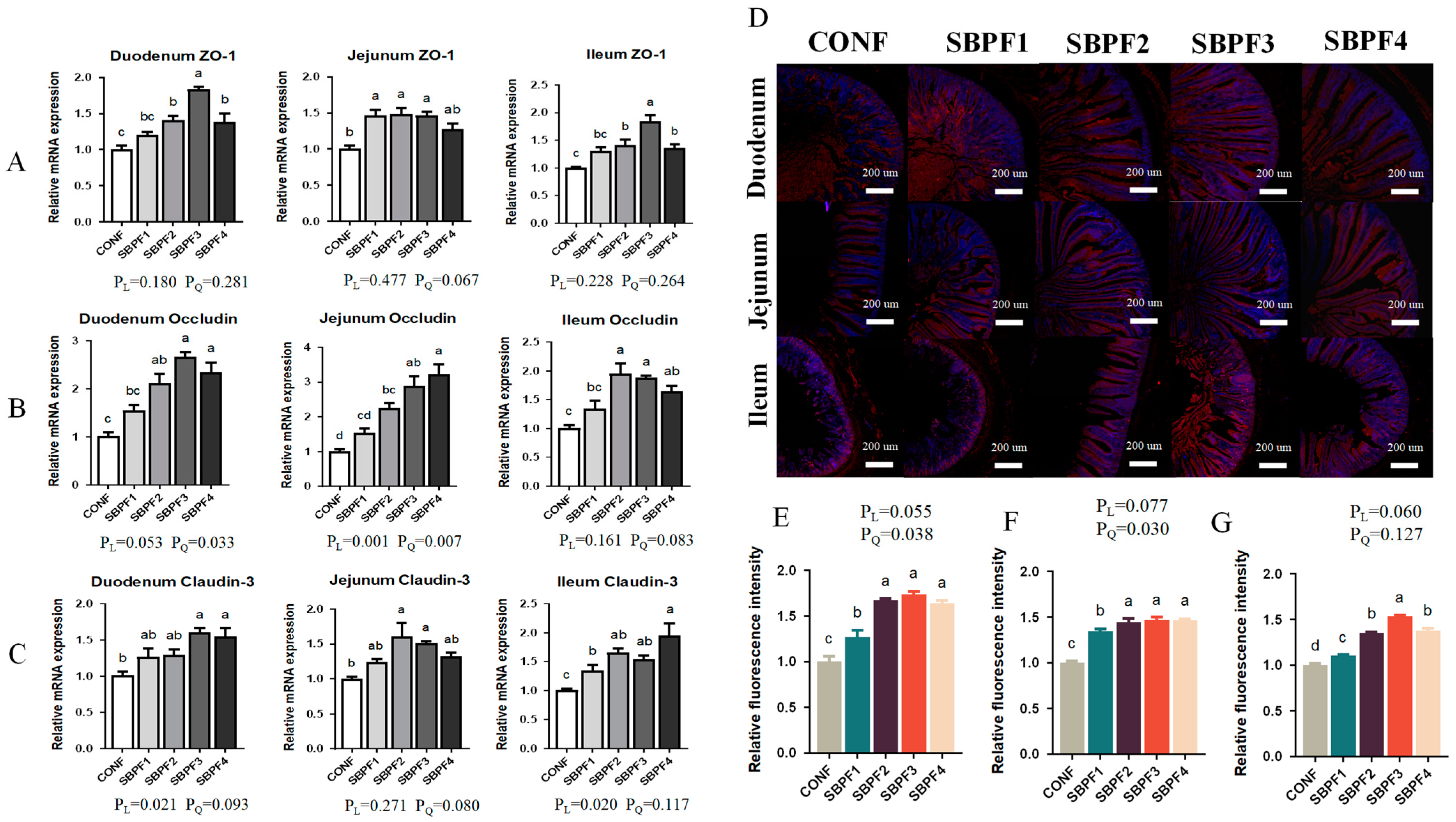 Animals 14 01954 g003
