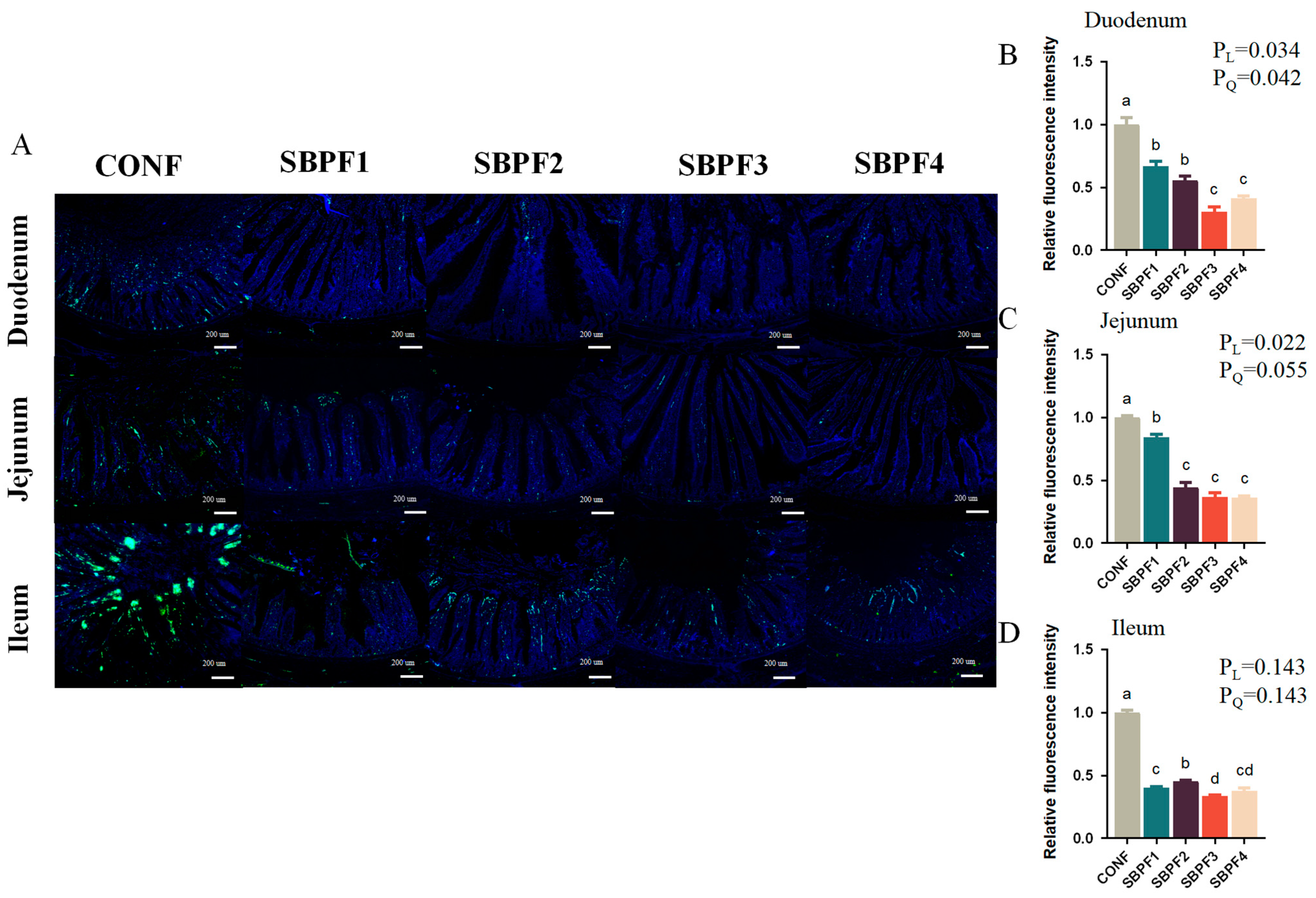 Animals 14 01954 g004