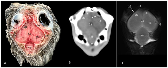 Animals 14 01962 g007