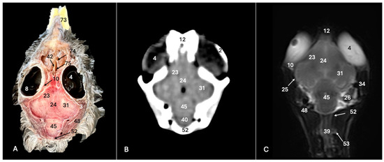 Animals 14 01962 g008