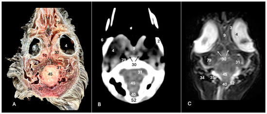 Animals 14 01962 g009