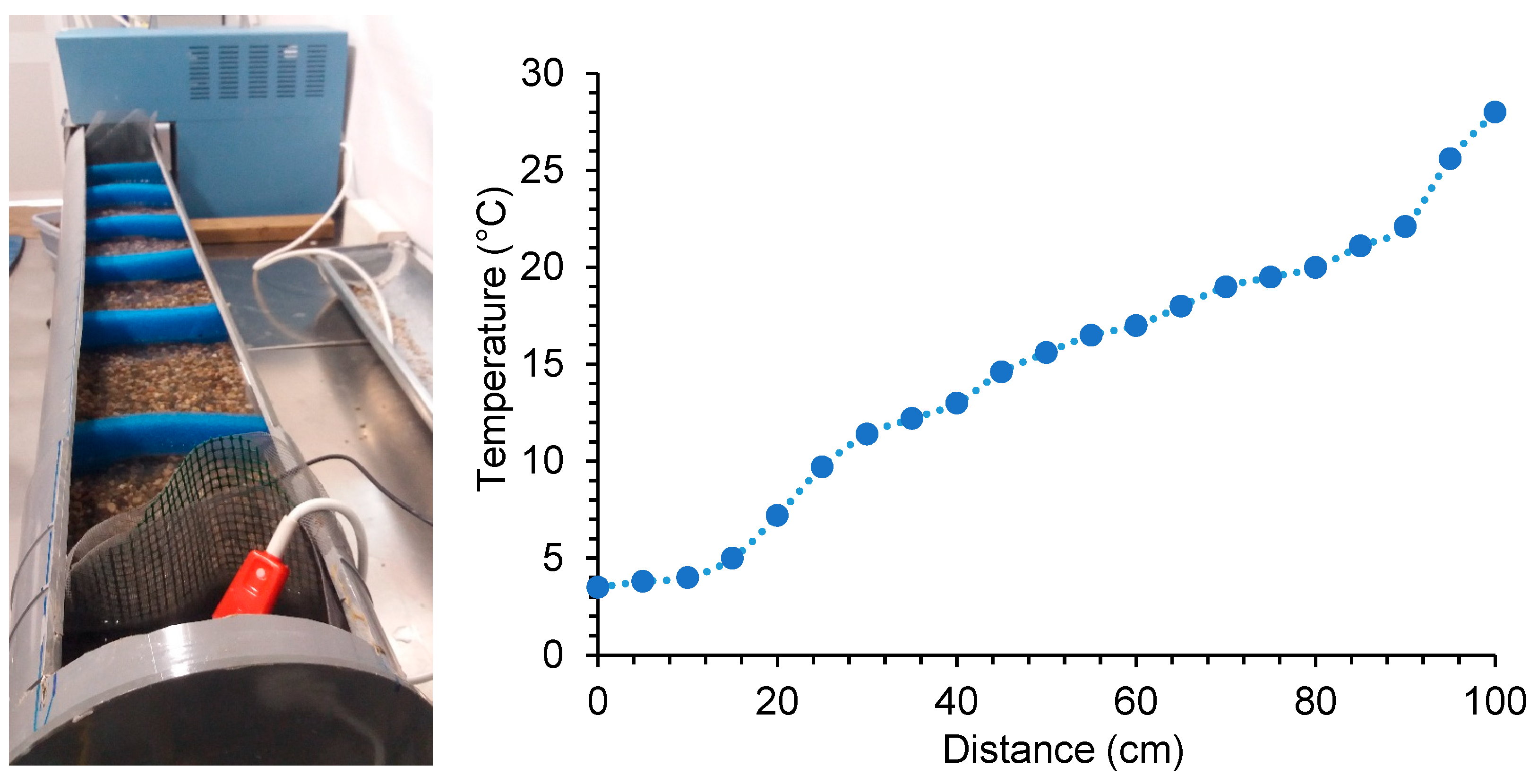 Animals 14 01963 g002