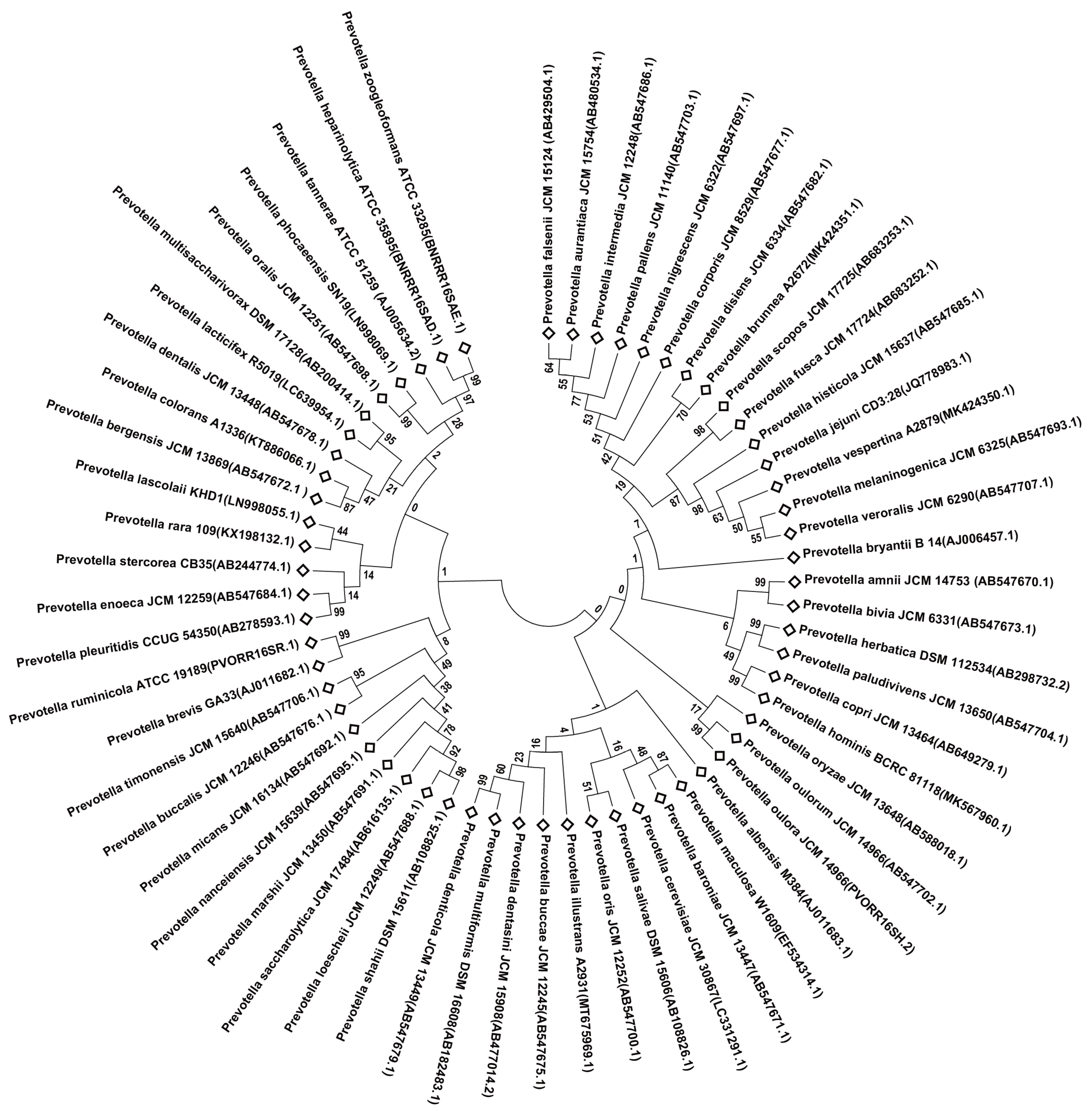 Animals 14 01965 g001