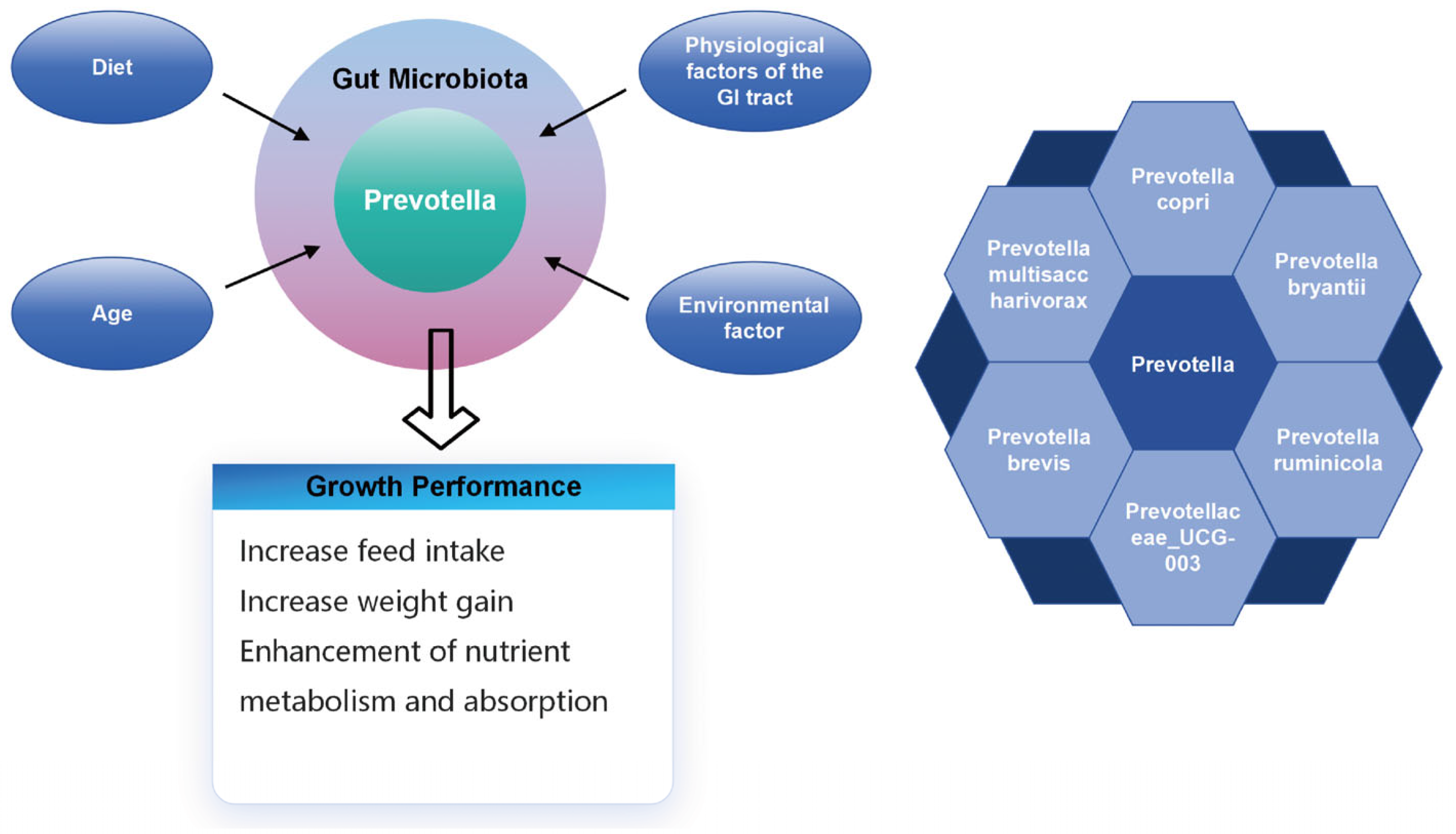Animals 14 01965 g002
