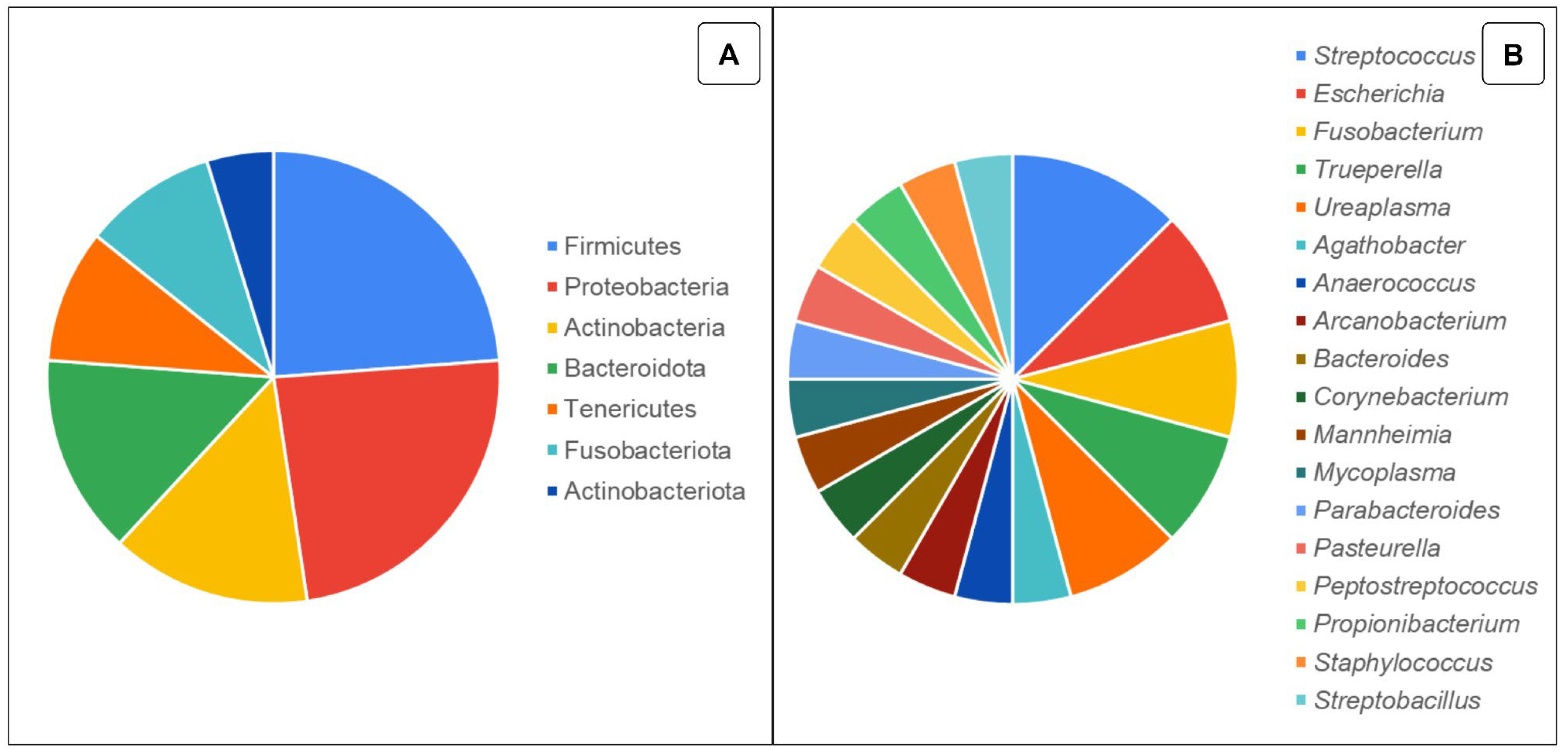 Animals 14 01971 g002