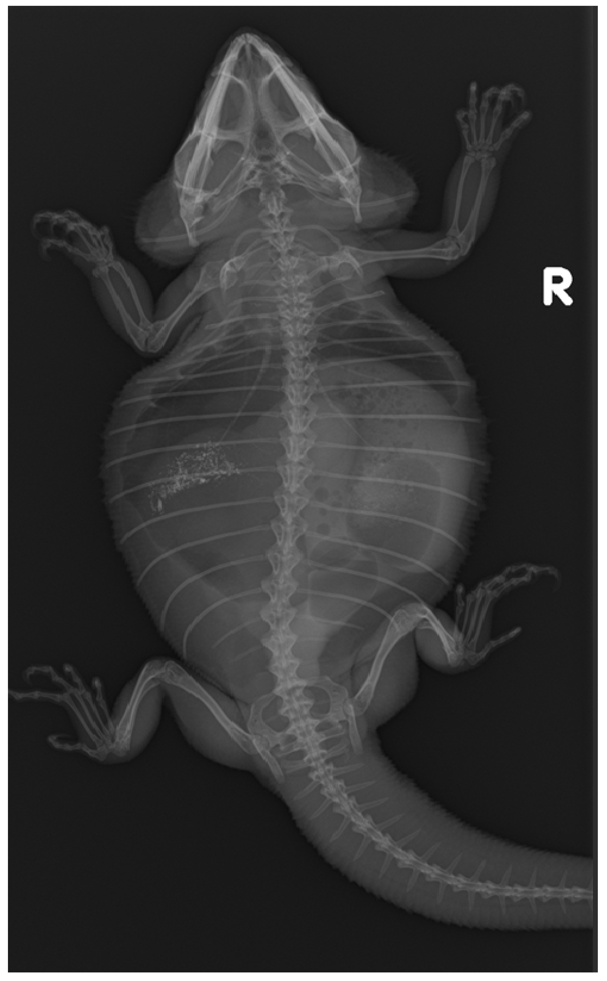 Animals 14 01976 g001