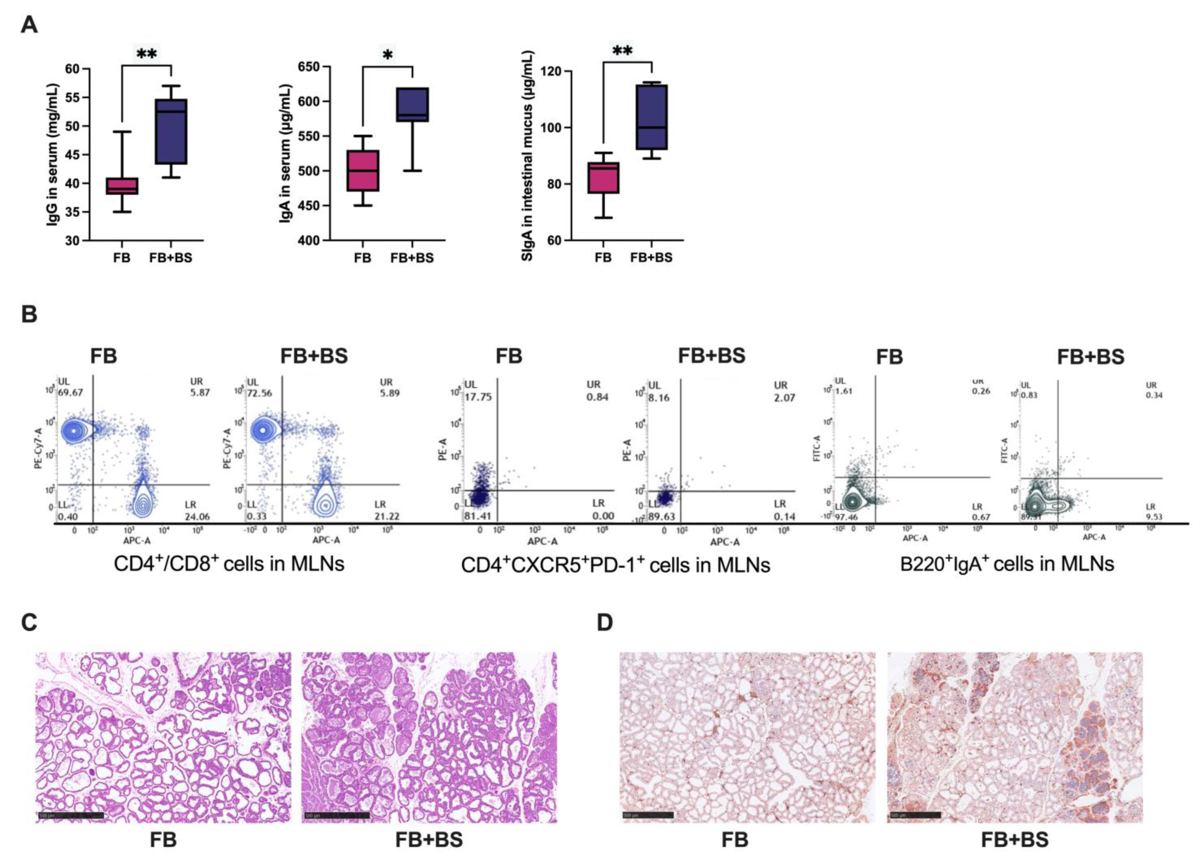 Animals 14 01978 g002