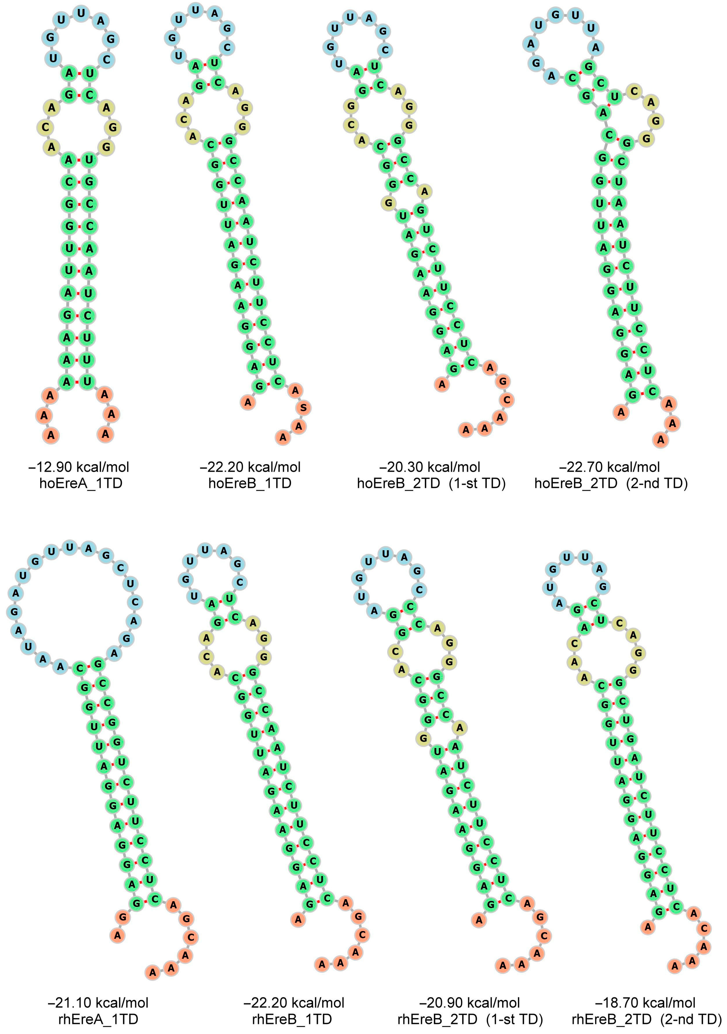 Animals 14 01982 g003