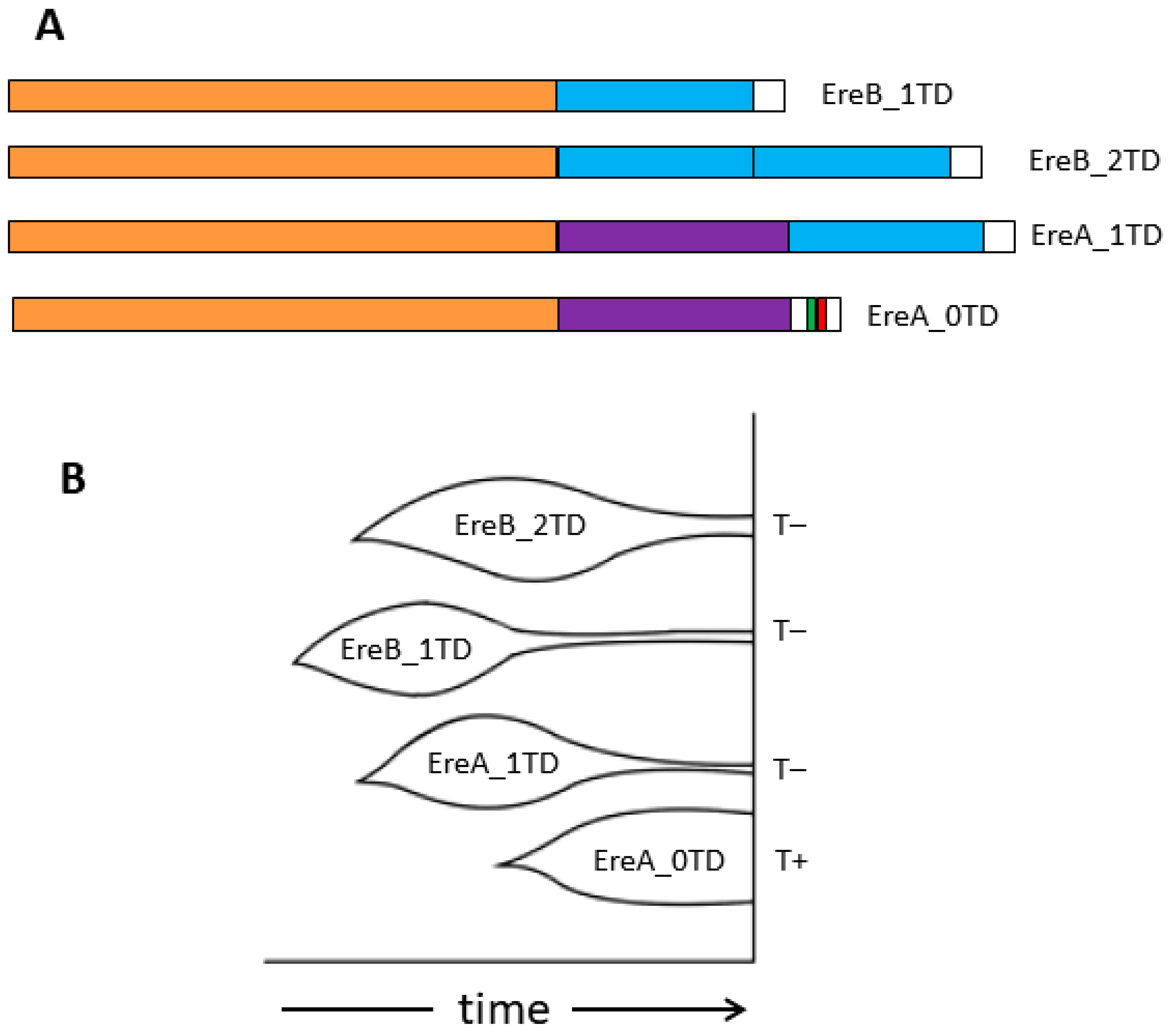 Animals 14 01982 g008
