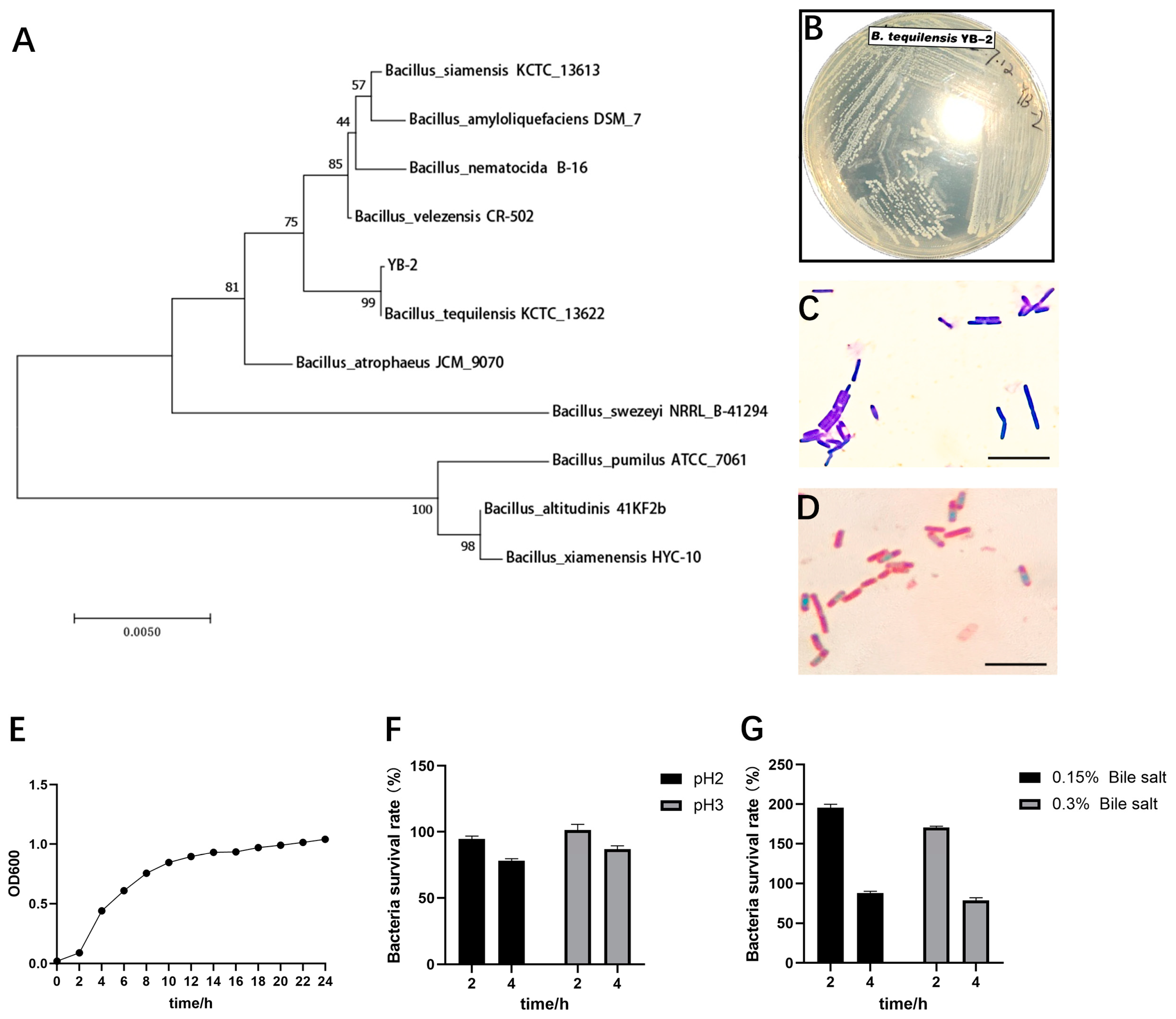 Animals 14 01989 g001 Animals 14 01989 g001