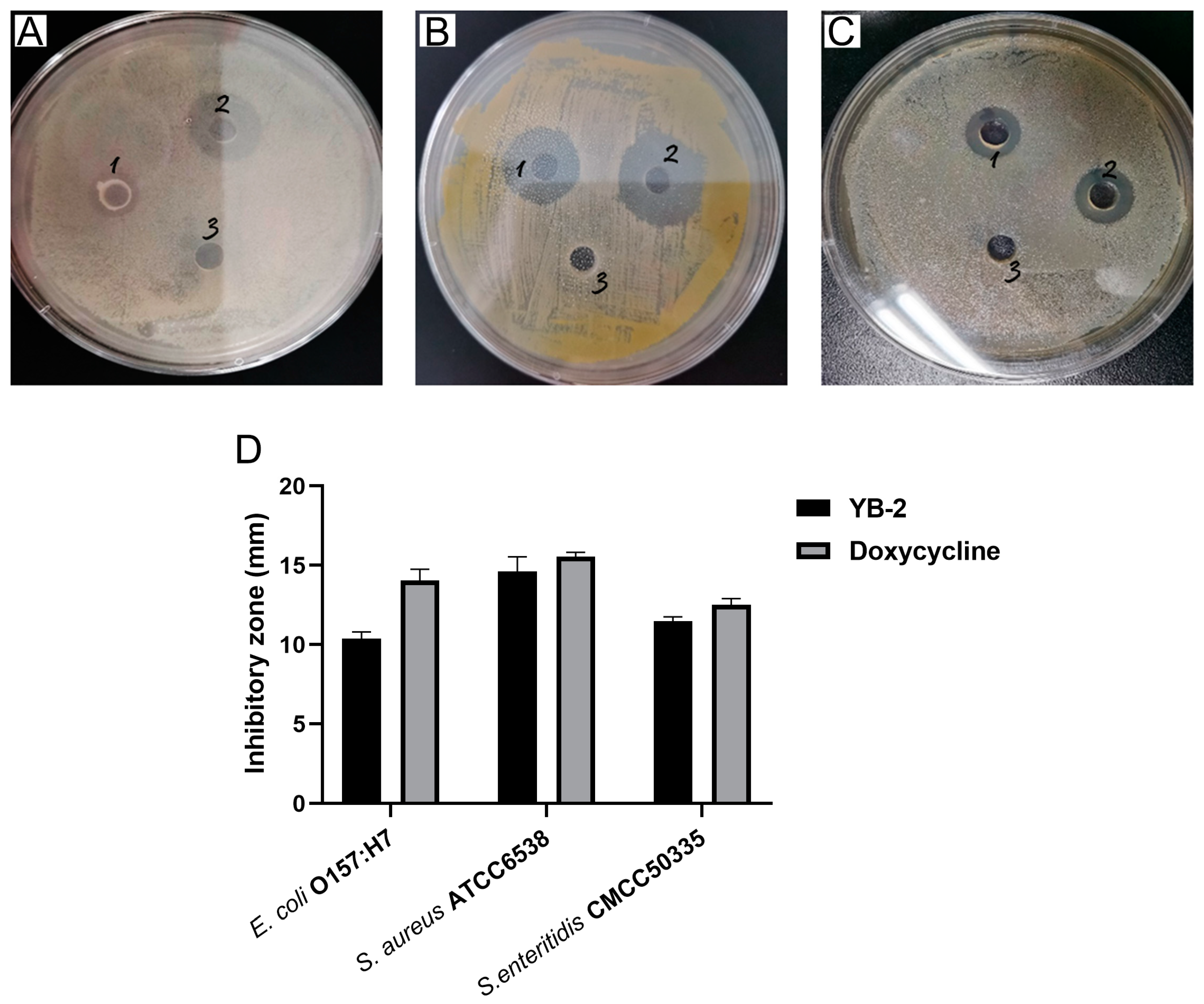 Animals 14 01989 g002 Animals 14 01989 g002