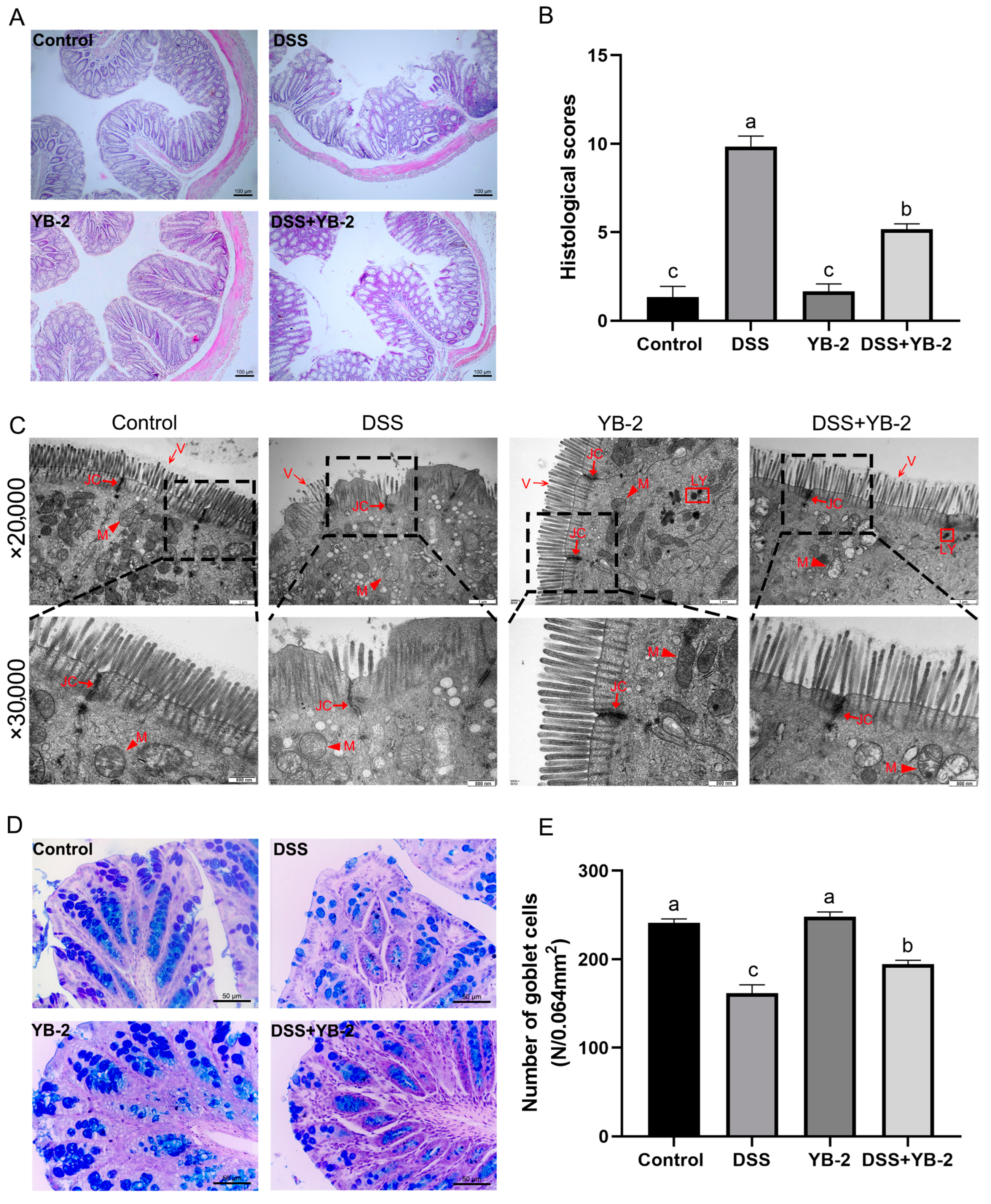 Animals 14 01989 g004 Animals 14 01989 g004