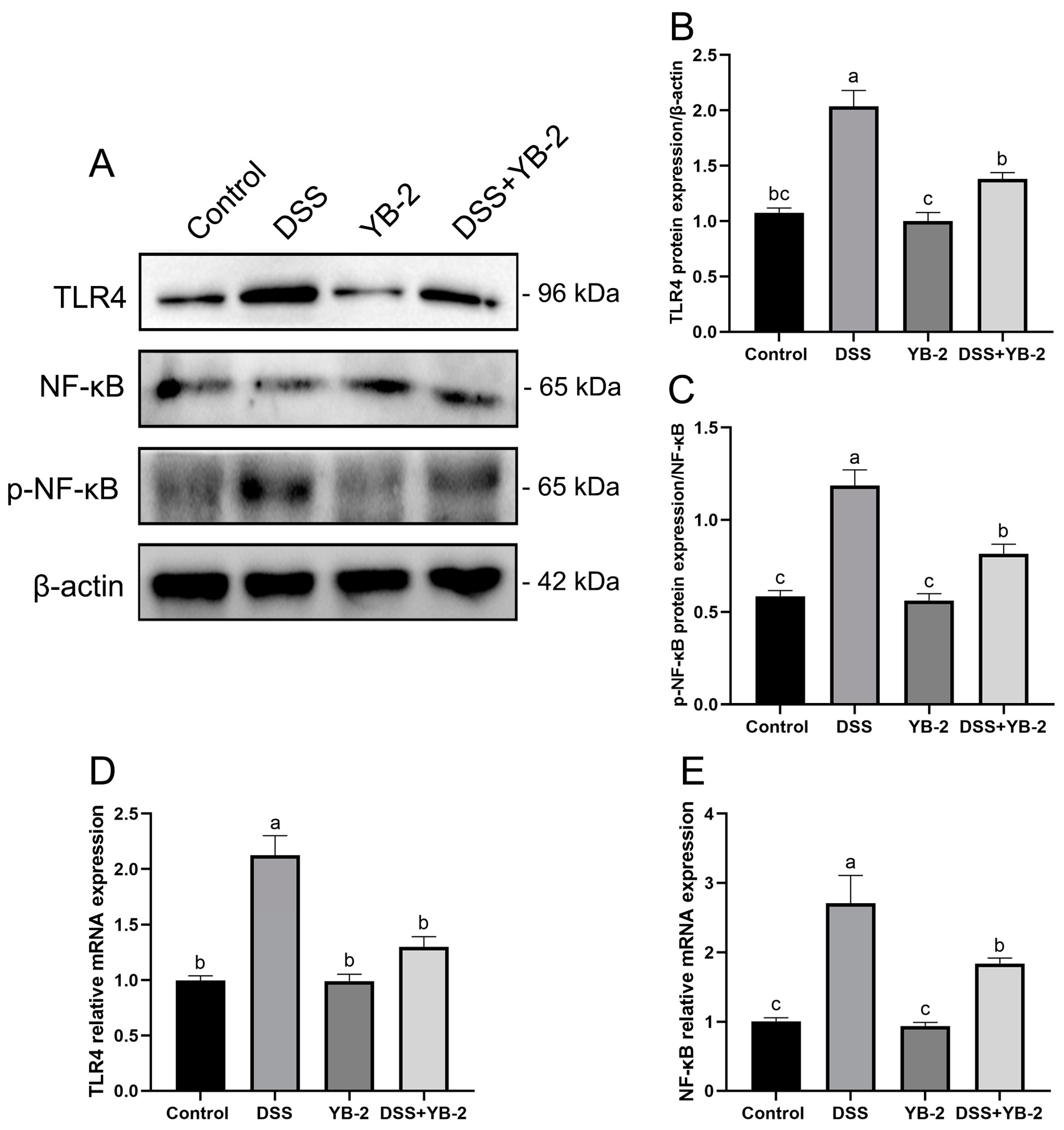 Animals 14 01989 g007 Animals 14 01989 g007