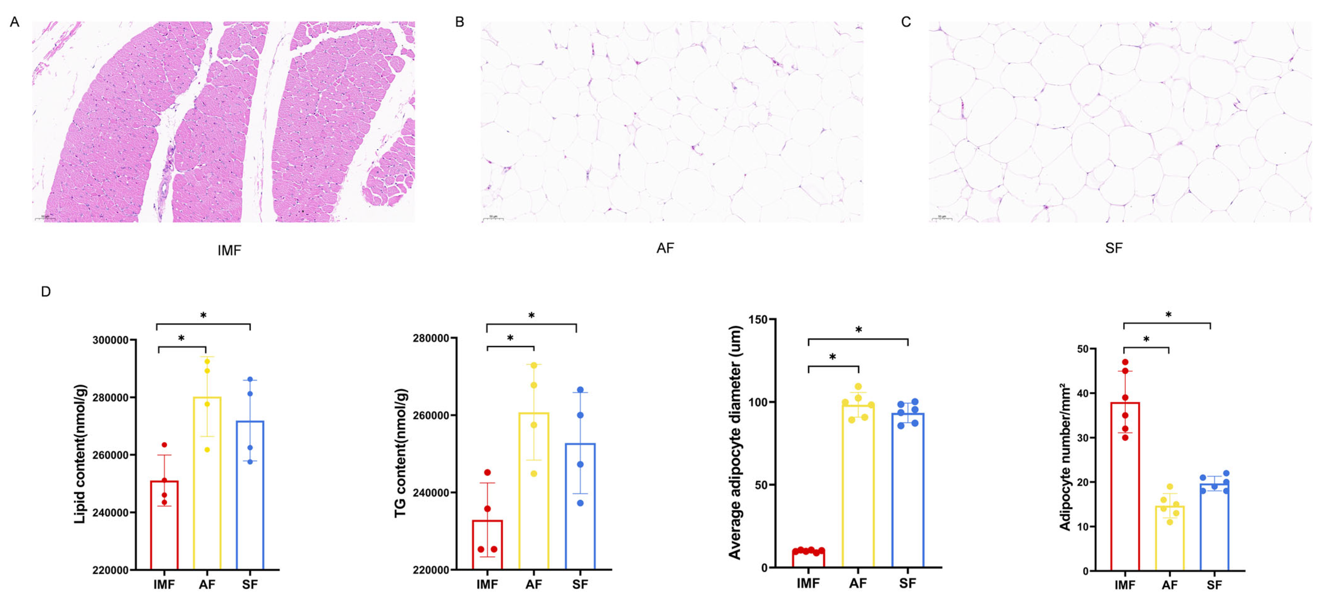 Animals 14 01990 g001
