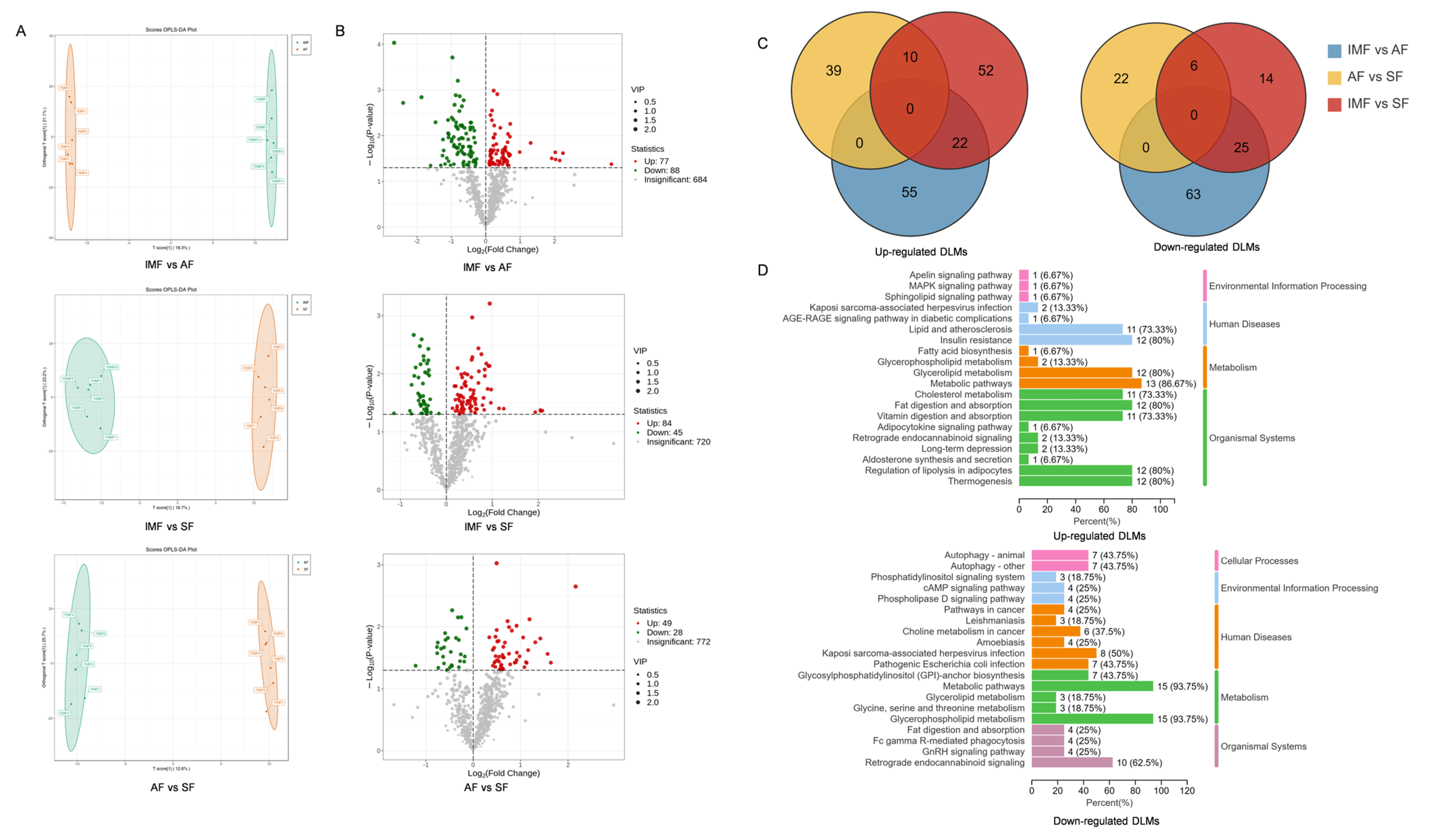 Animals 14 01990 g003