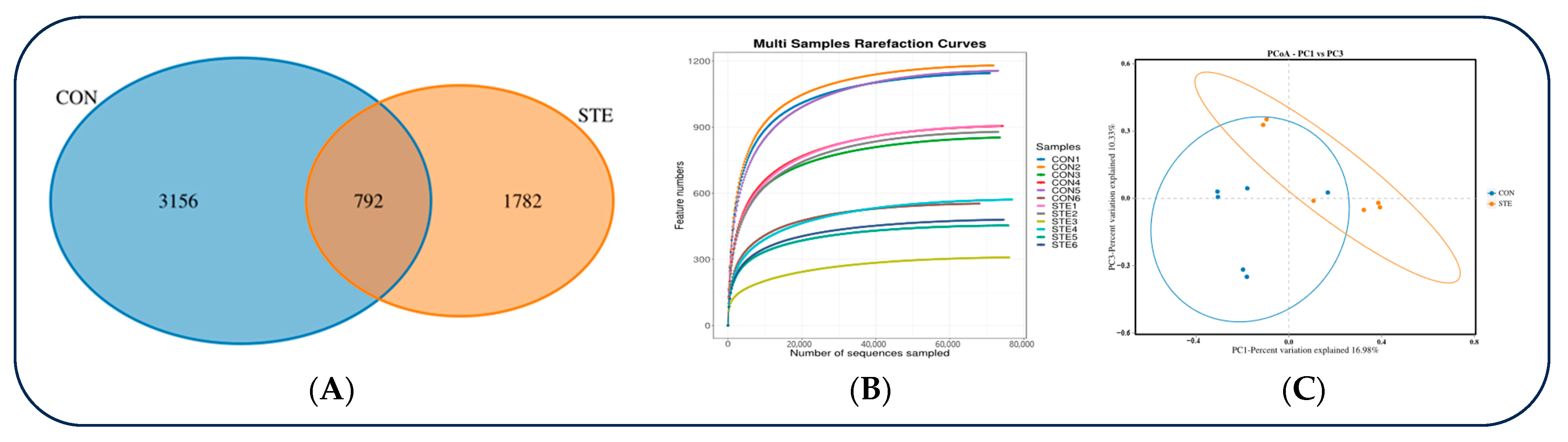 Animals 14 01991 g001