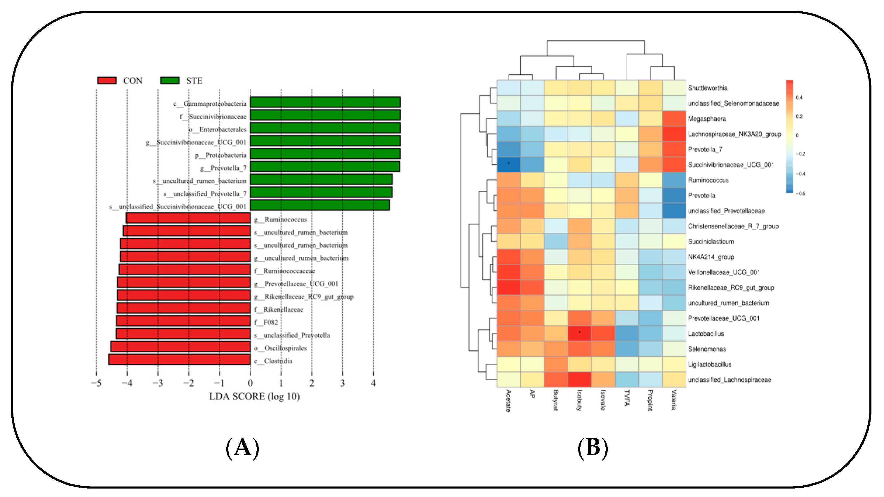 Animals 14 01991 g003