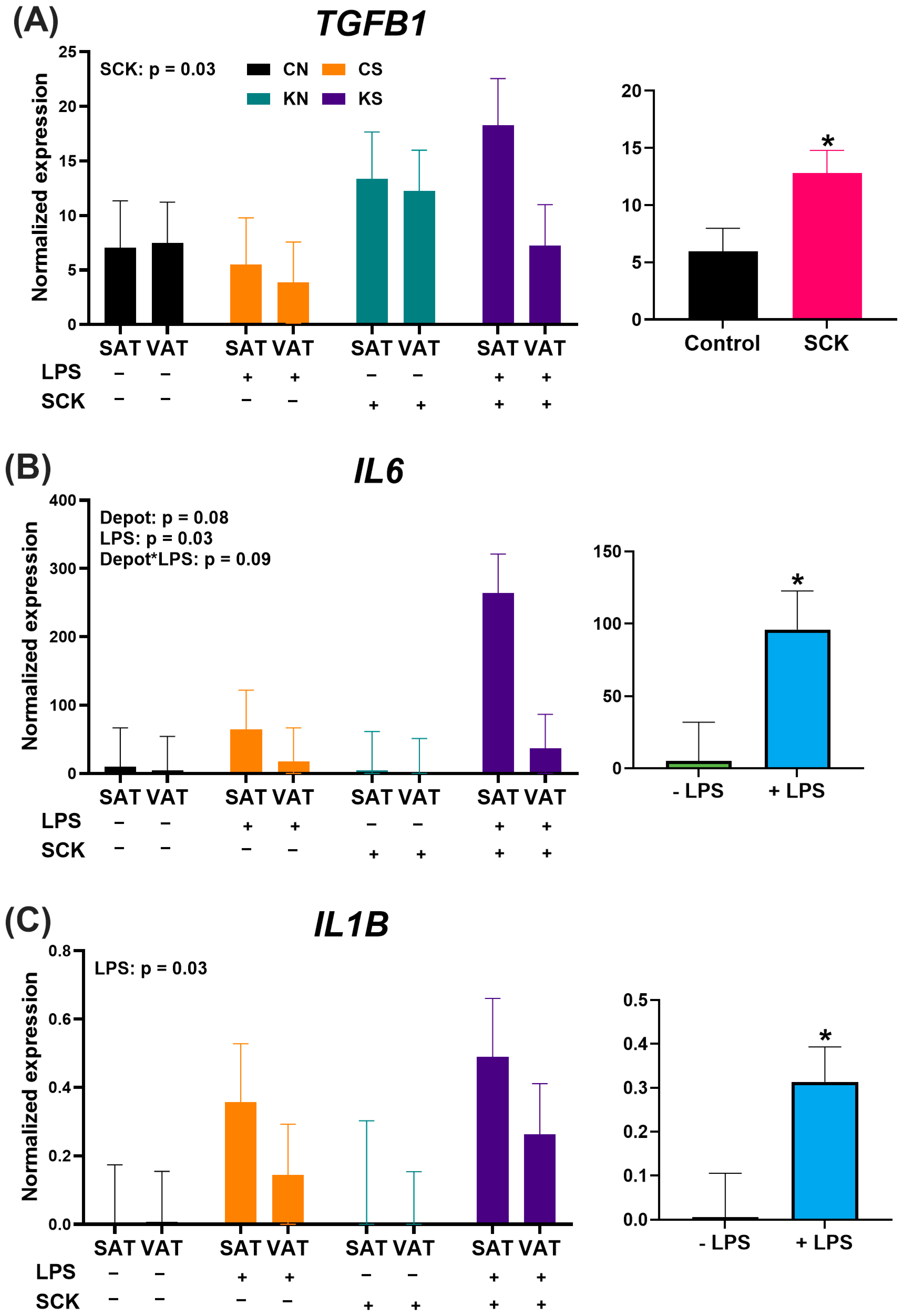 Animals 14 01995 g006