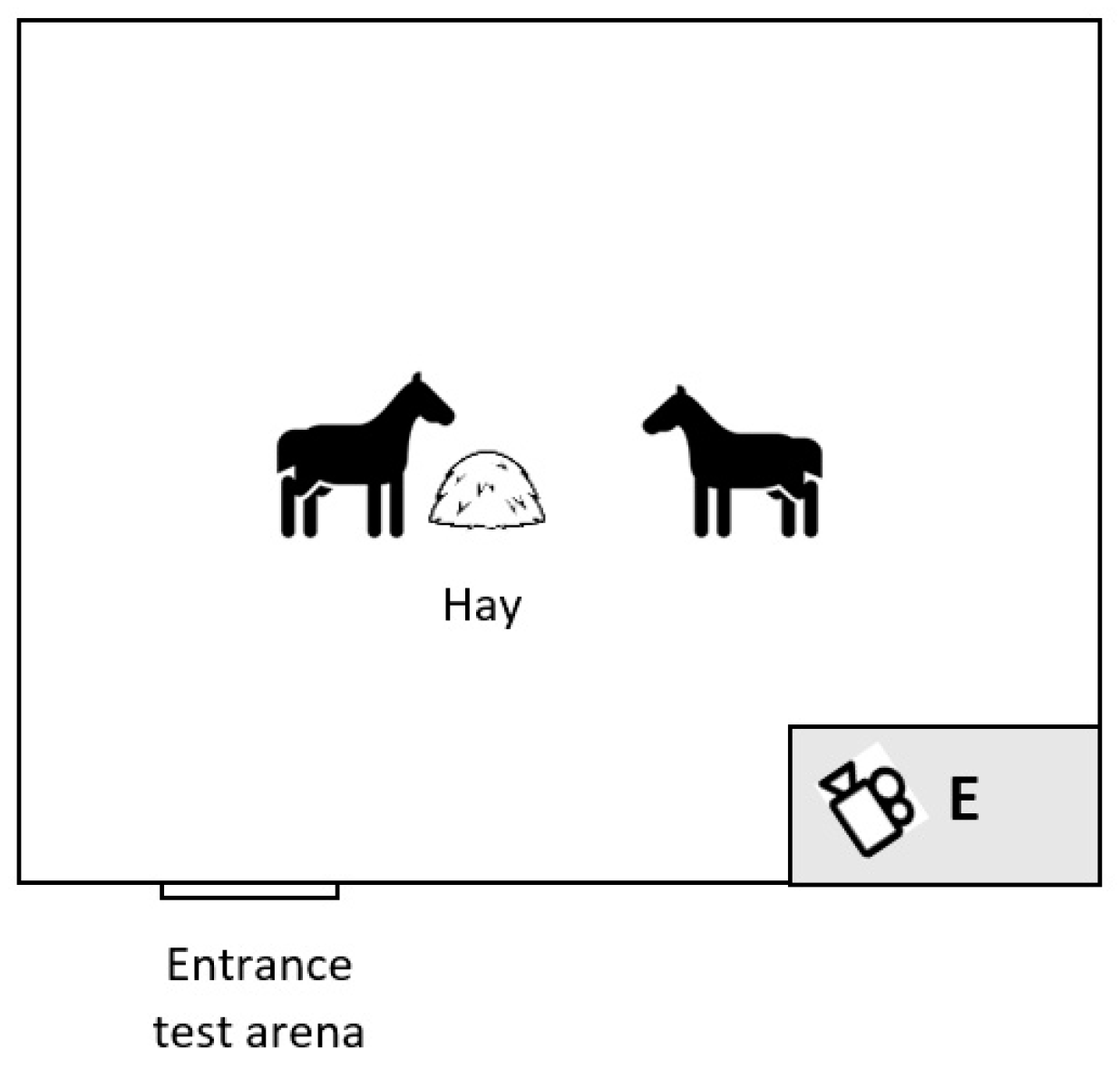 Animals 14 01999 g001