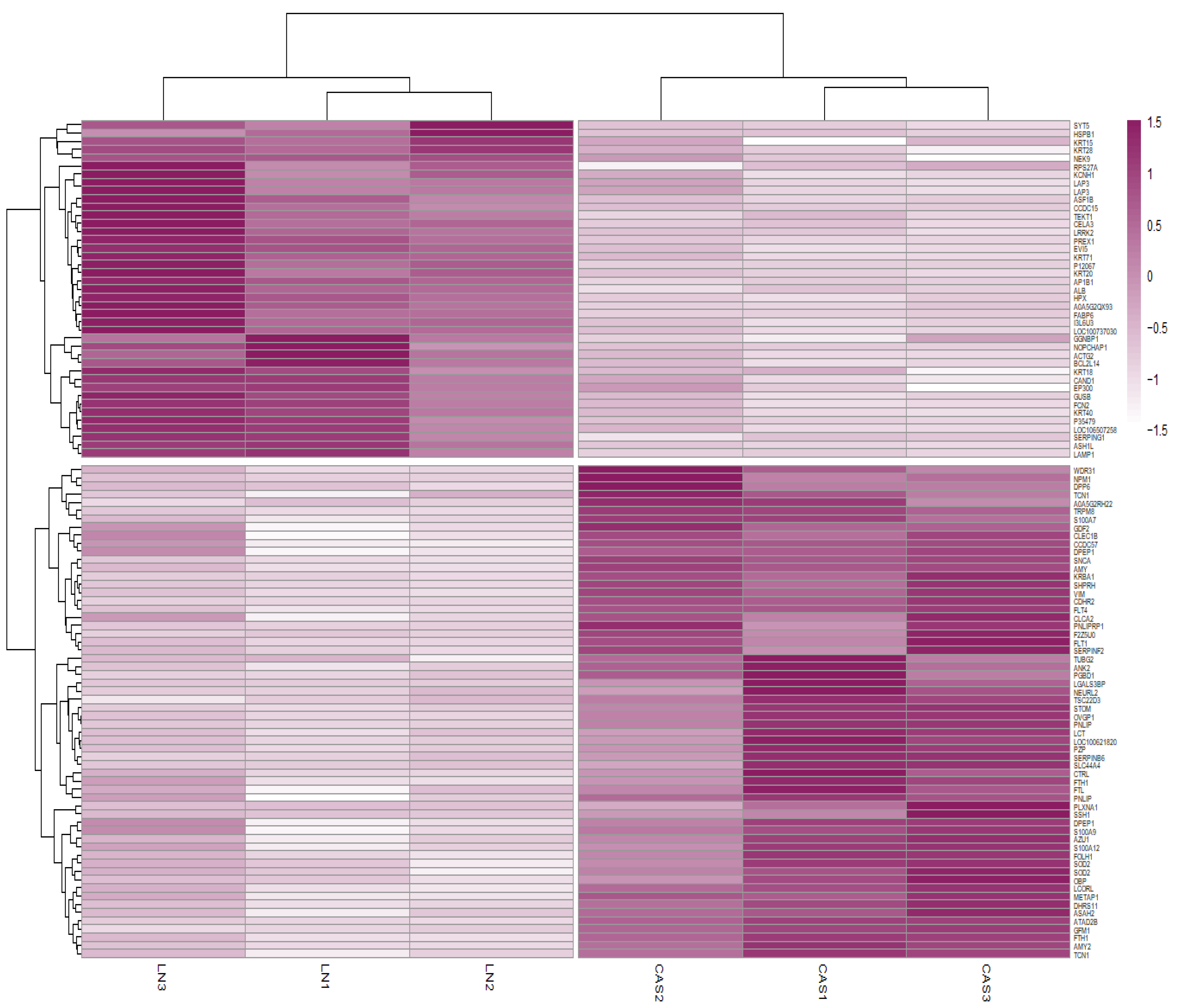 Animals 14 02000 g003