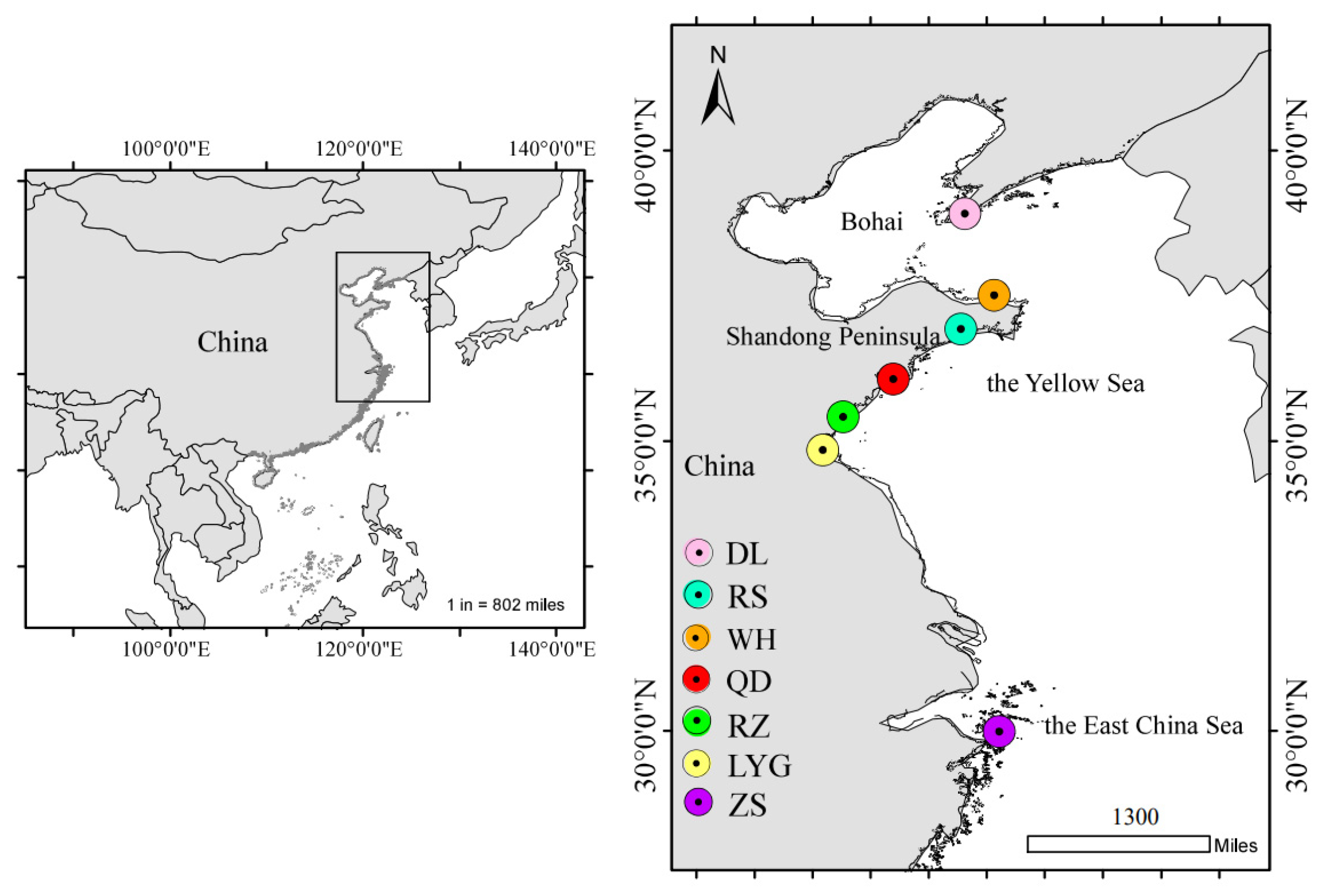 Animals 14 02007 g001
