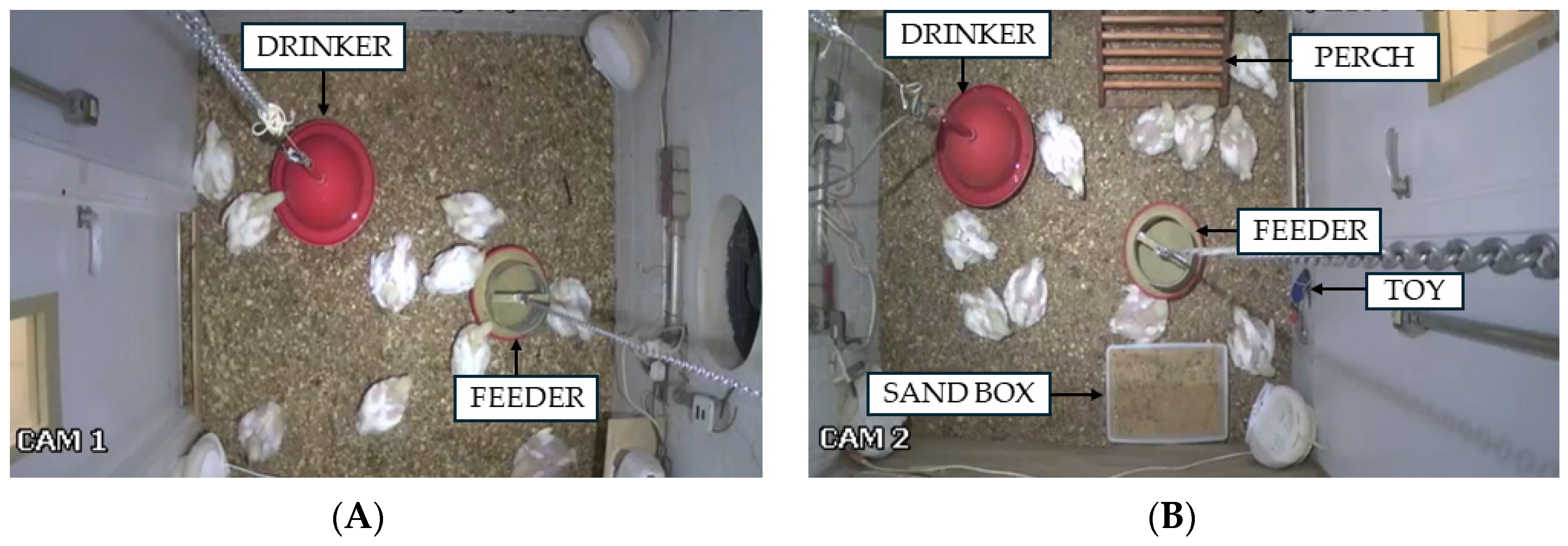 Animals 14 02010 g002