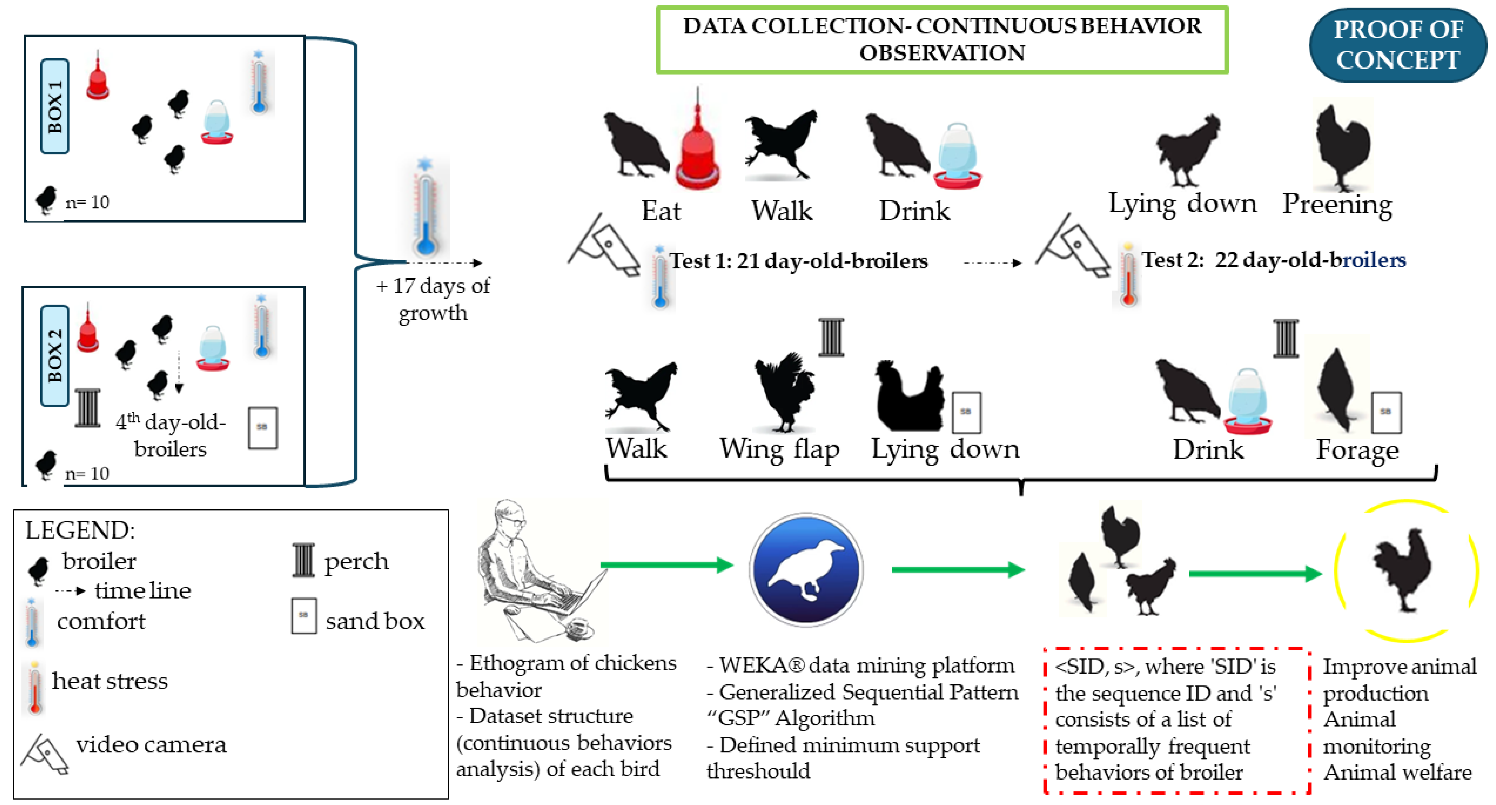 Animals 14 02010 g003