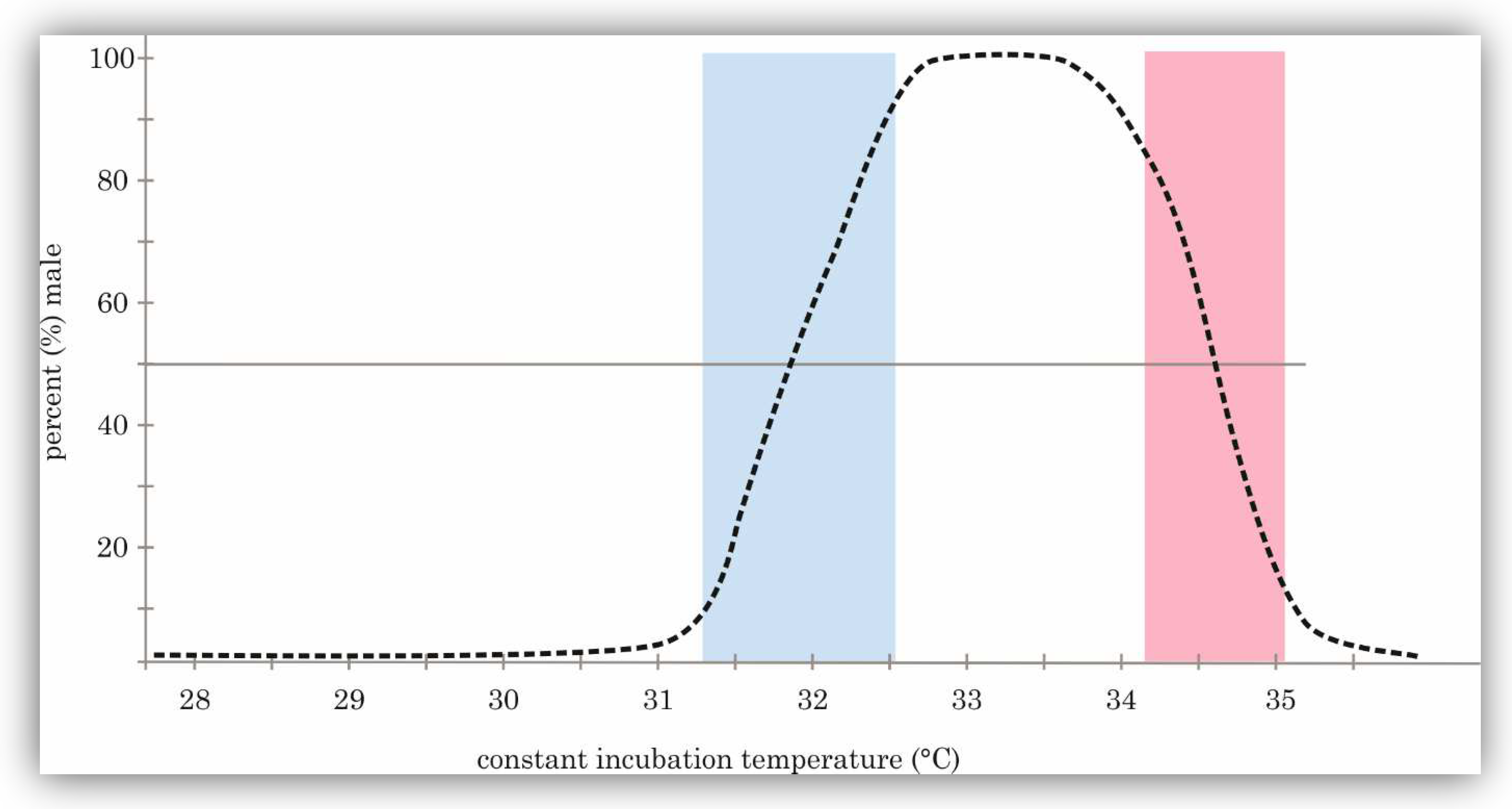 Animals 14 02015 g001 Animals 14 02015 g001