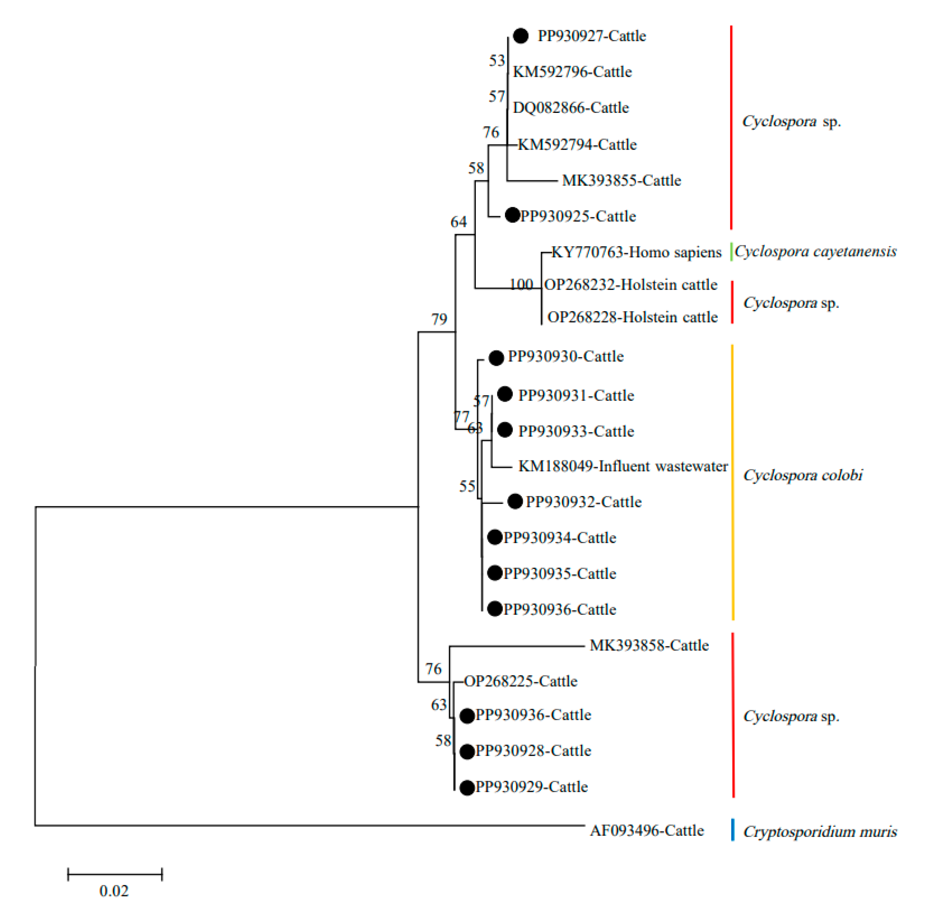 Animals 14 02114 g002