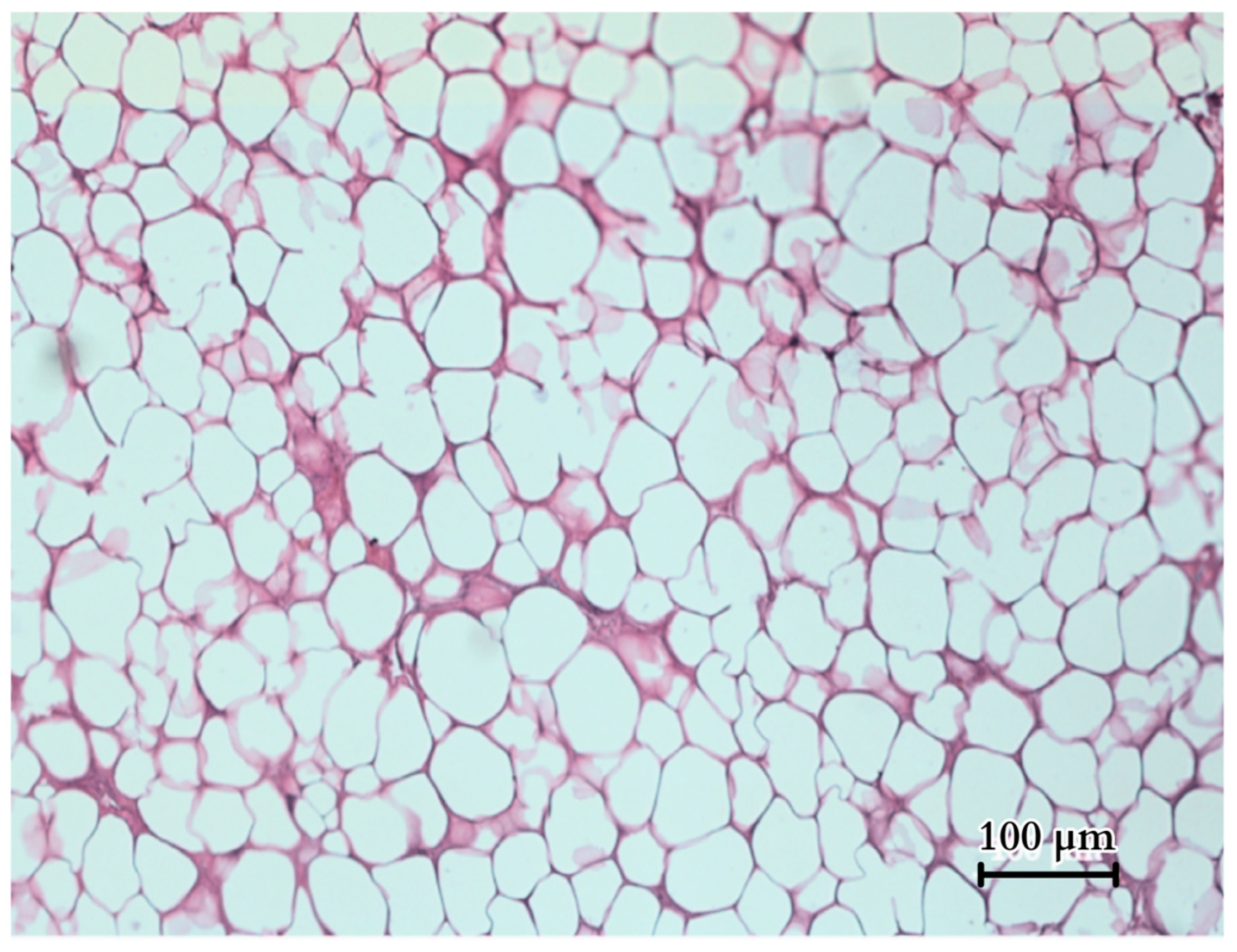 Animals 14 02142 g015 Animals 14 02142 g015