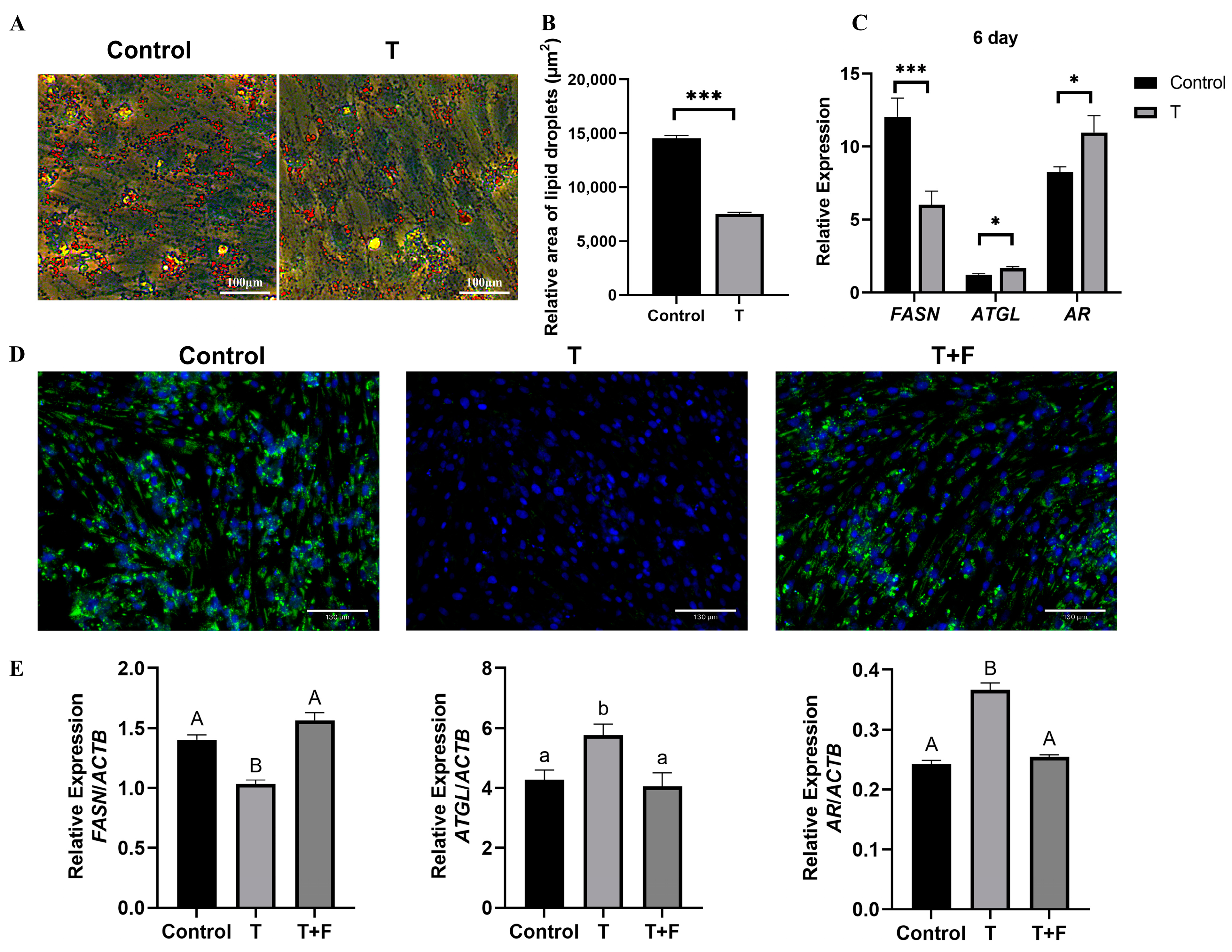 Animals 14 02143 g001