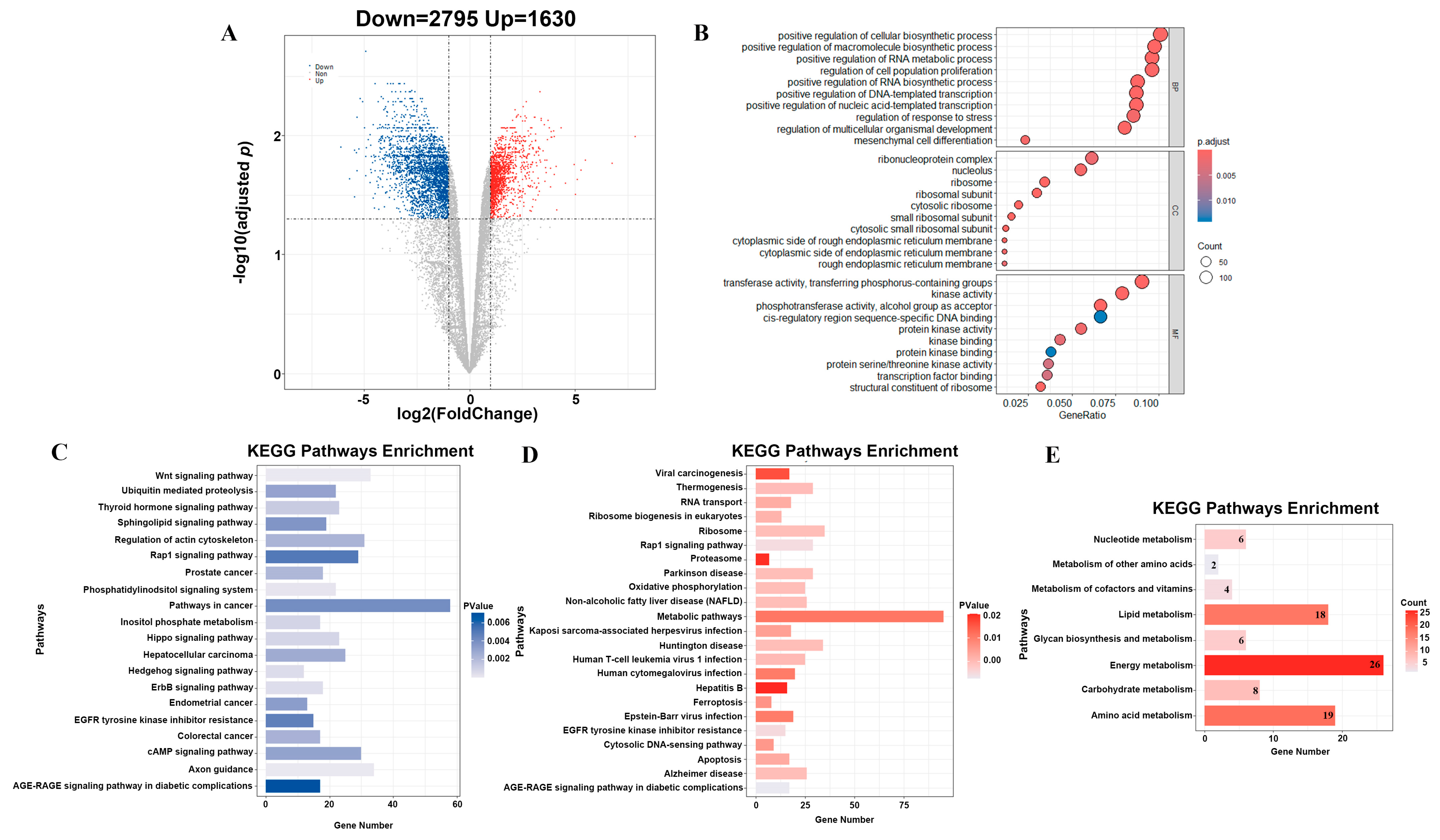 Animals 14 02143 g002